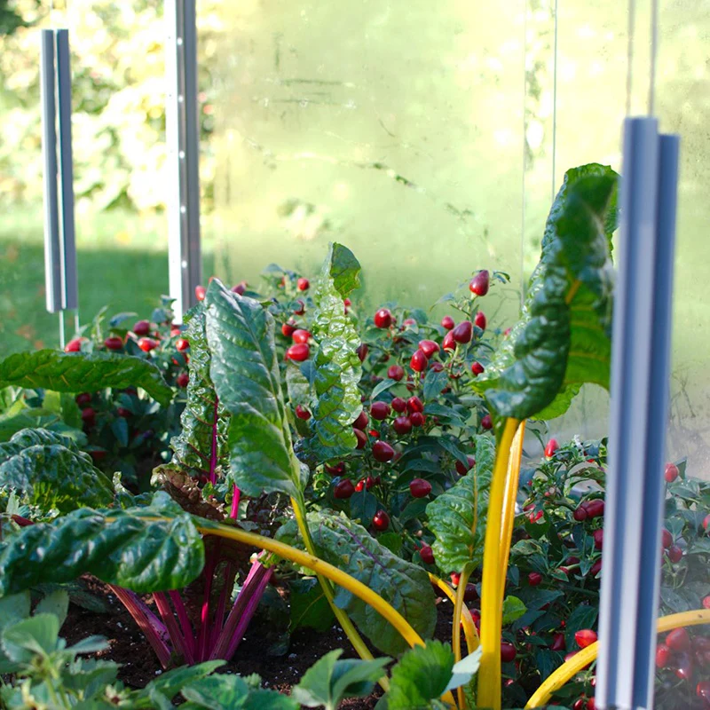 4ft Cold Frame - Image 2