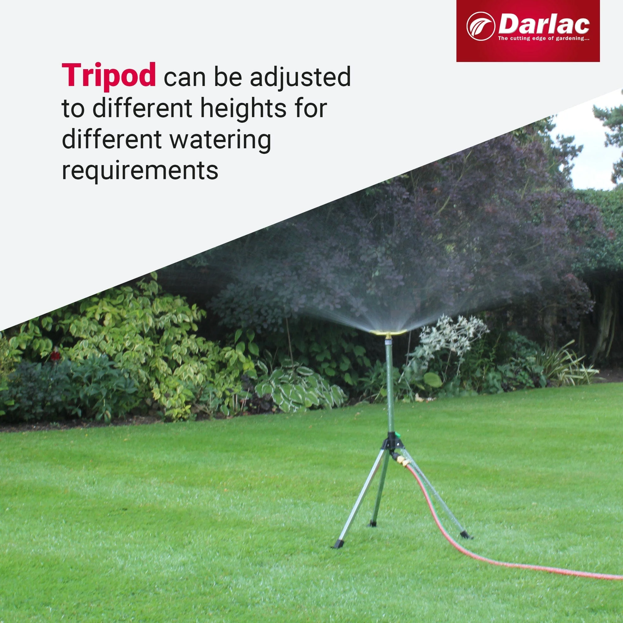 Darlac Adjustable Tripod - Image 4