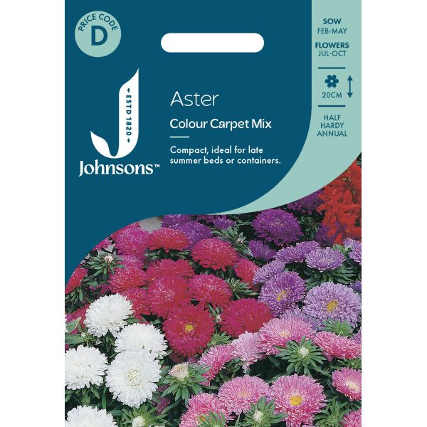 Aster Colour Carpet Mixed Seeds