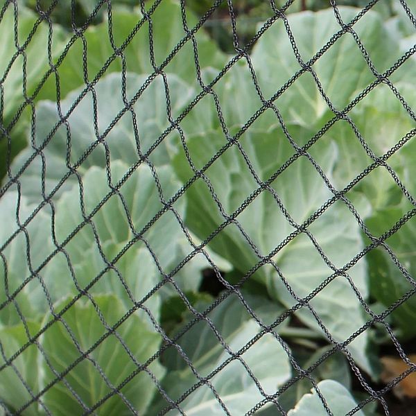Bird Plant Protection Netting - Image 3