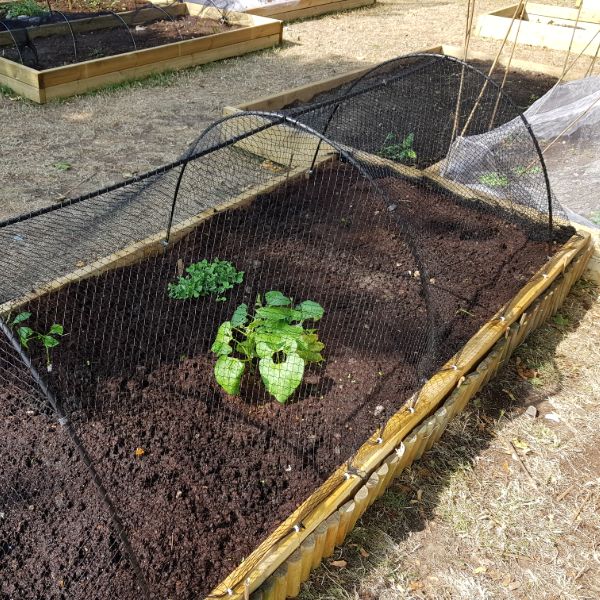 Bird Plant Protection Netting - Image 4