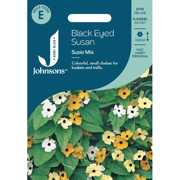 Black Eyed Susan Susie Mixed Seeds