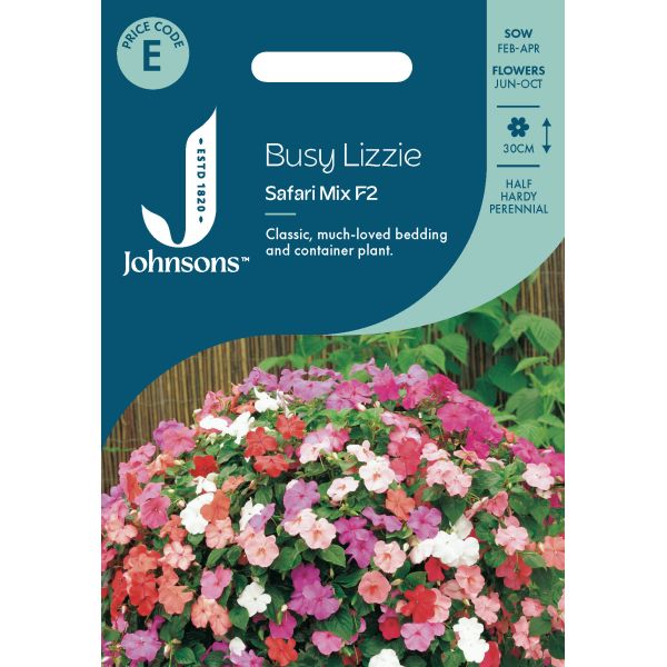 Busy Lizzie Safari Mixed F2 Seeds
