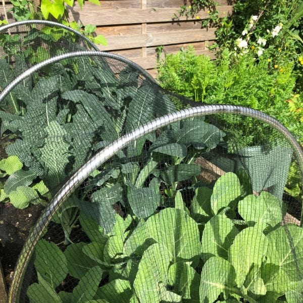 Butterfly Plant Protection Netting - Image 3