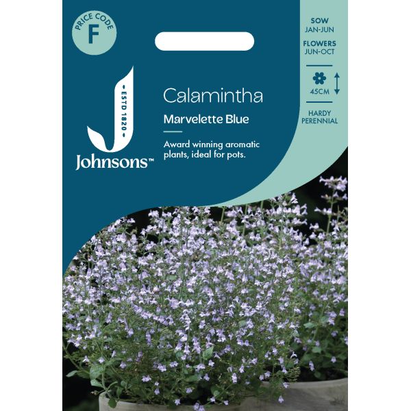 Calamintha nepeta Marvelette Blue Seeds