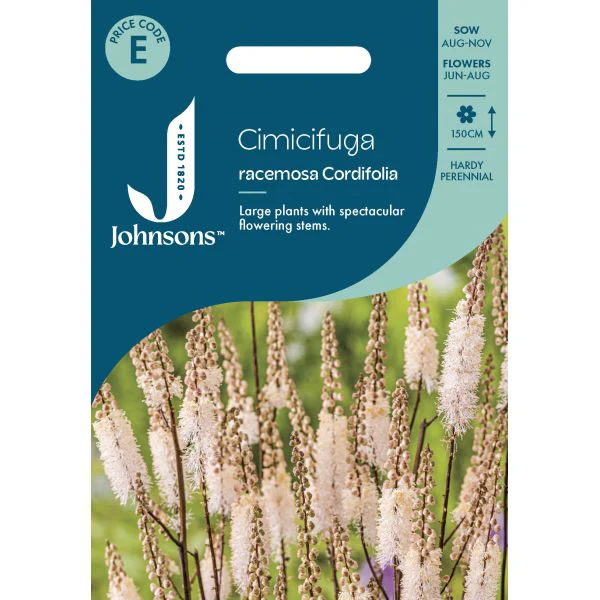 Cimicifuga Racemosa Cord Seeds