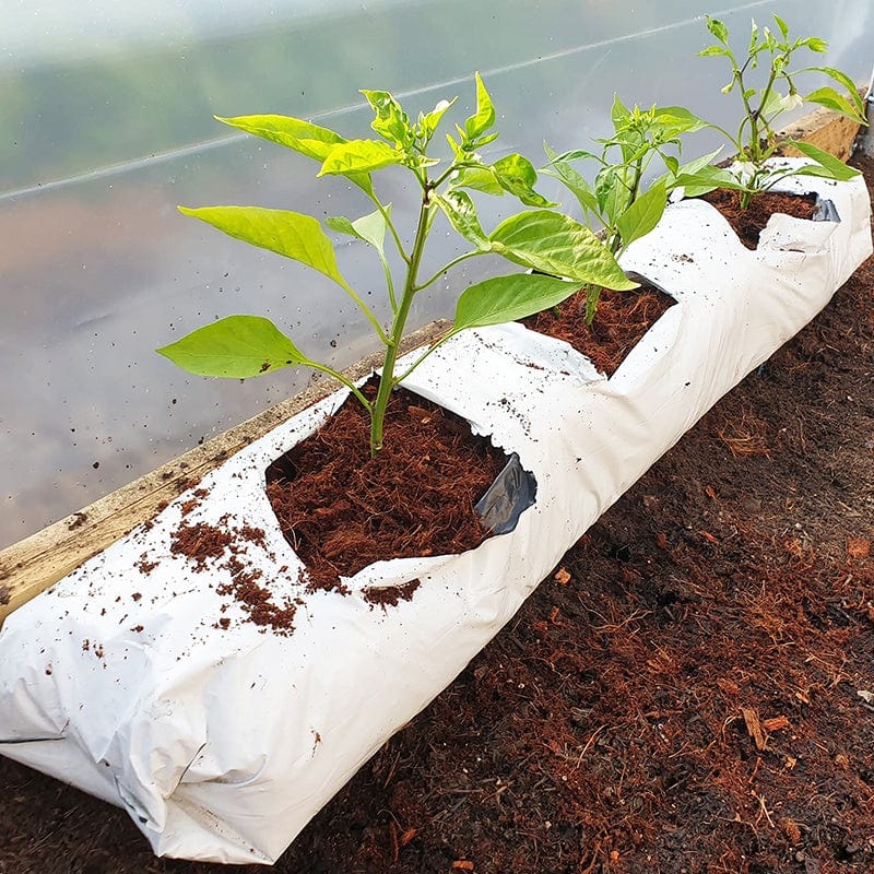 Coir Peat Free Multipurpose Growbags - Image 2