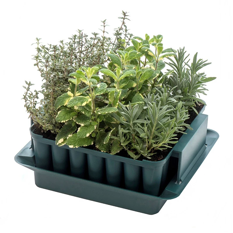 Compact Plant Trainer - Image 2