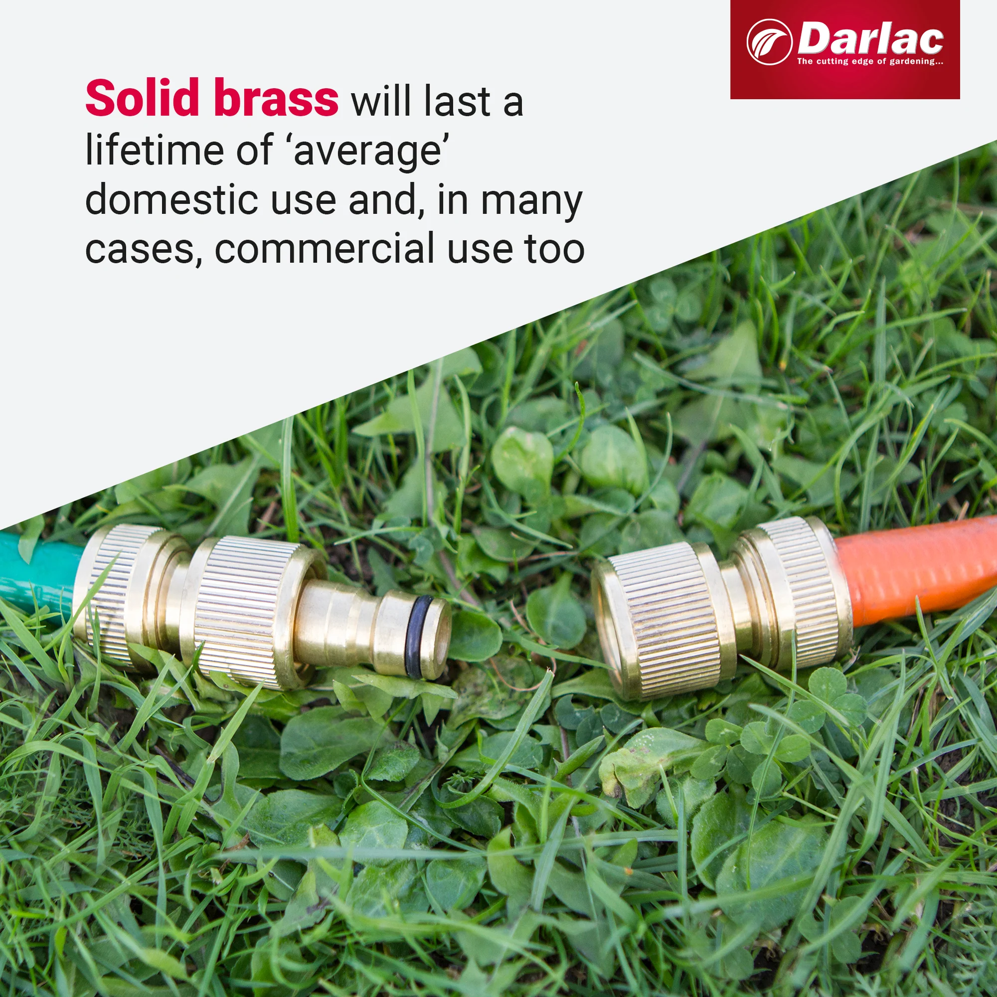 Darlac 2 Way Male Connector - Image 4
