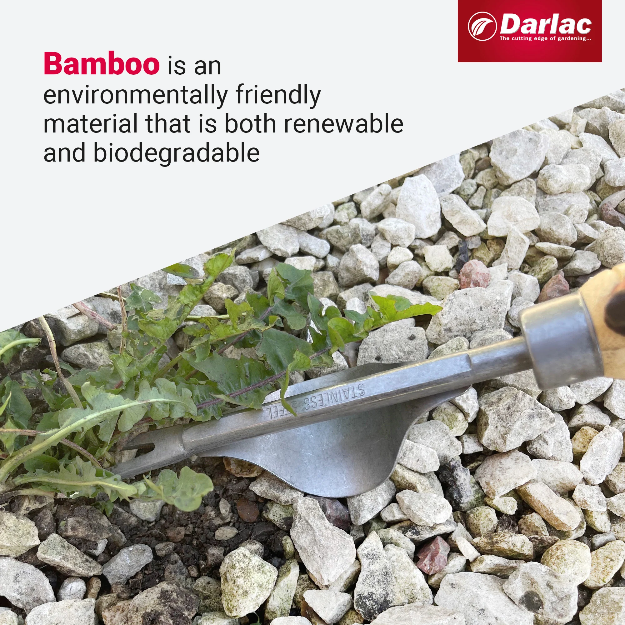 Darlac Bamboo Daisy Grubber - Image 4