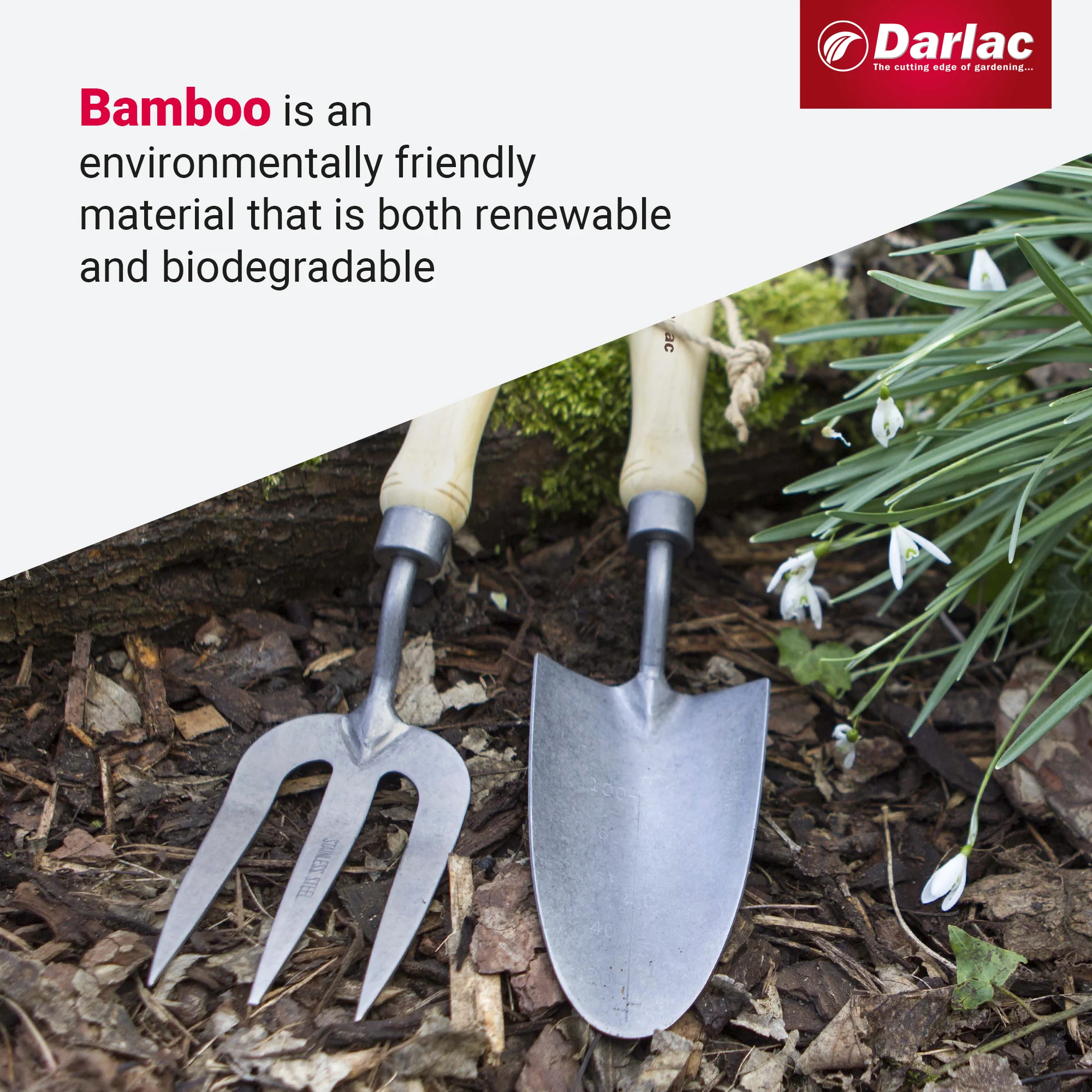 Darlac Bamboo Garden Trowel - Image 4