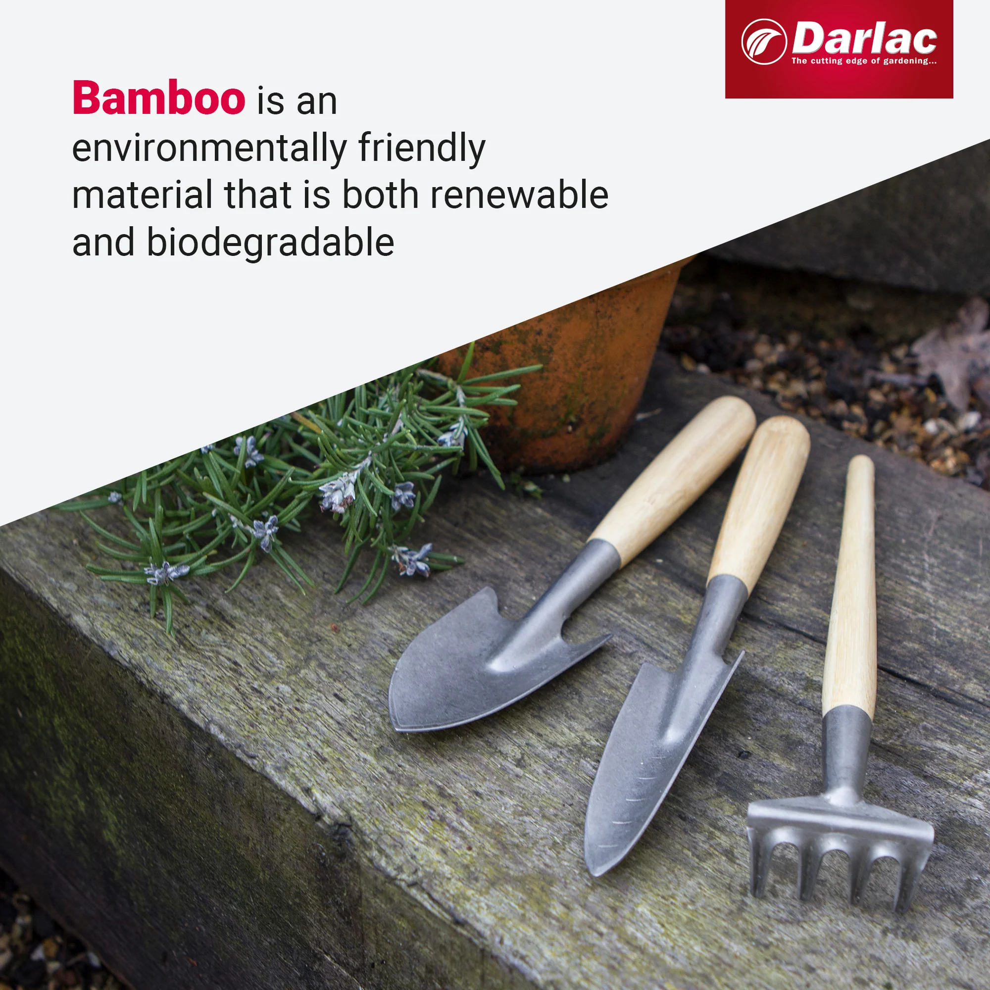 Darlac Bamboo Mini Essentials - Image 4