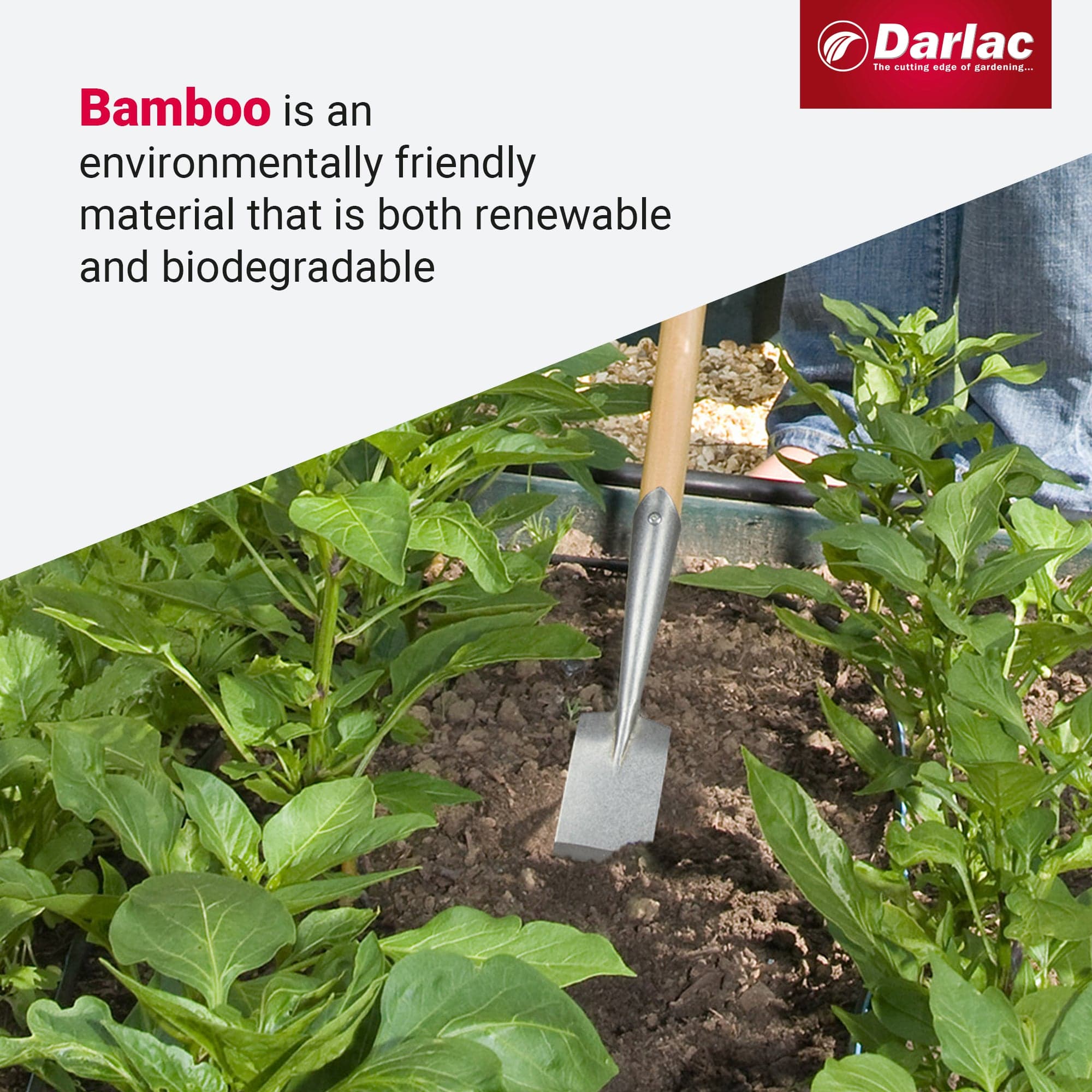Darlac Bamboo Narrow Spade Hoe Short Handle - Image 4
