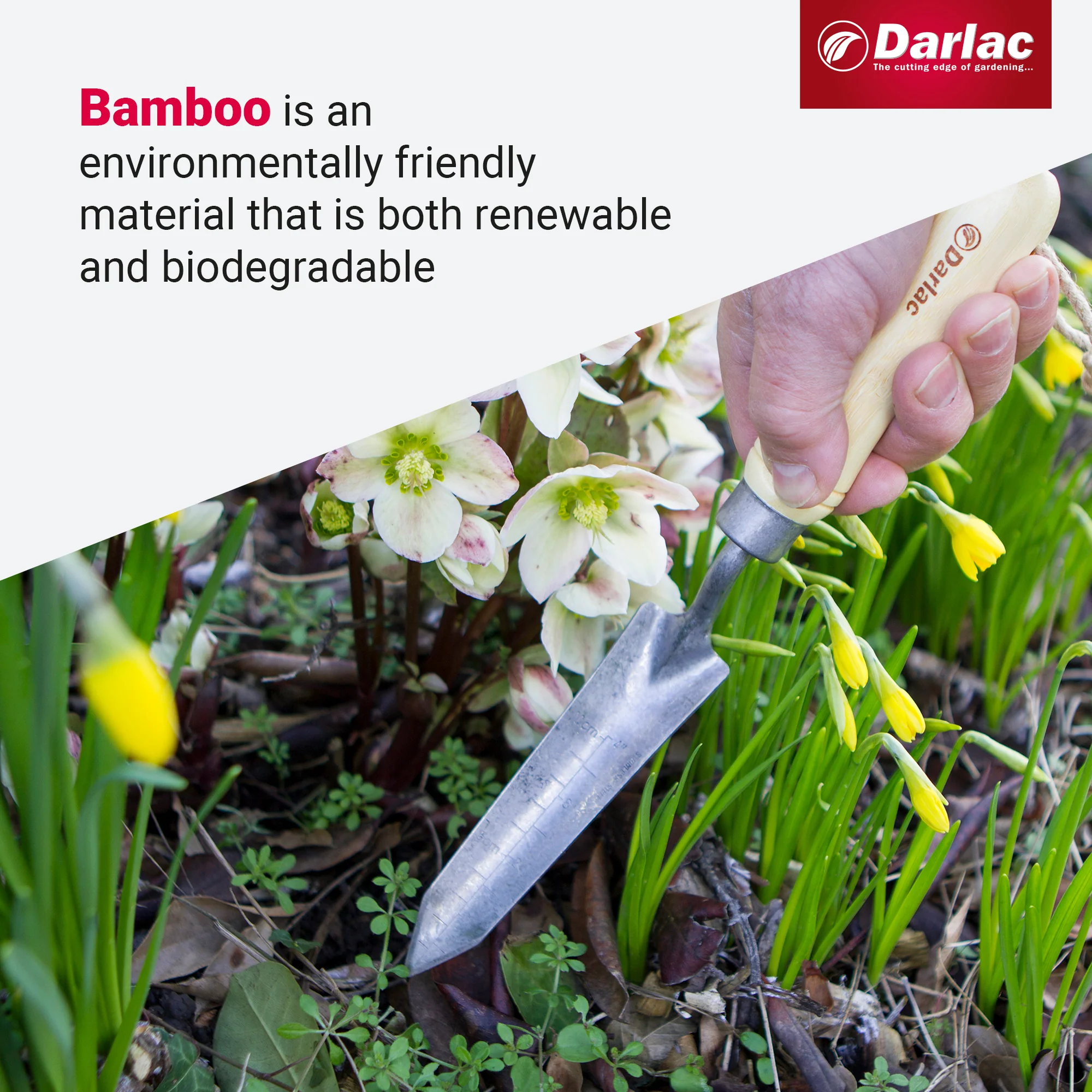 Darlac Bamboo Rockery Trowel - Image 4