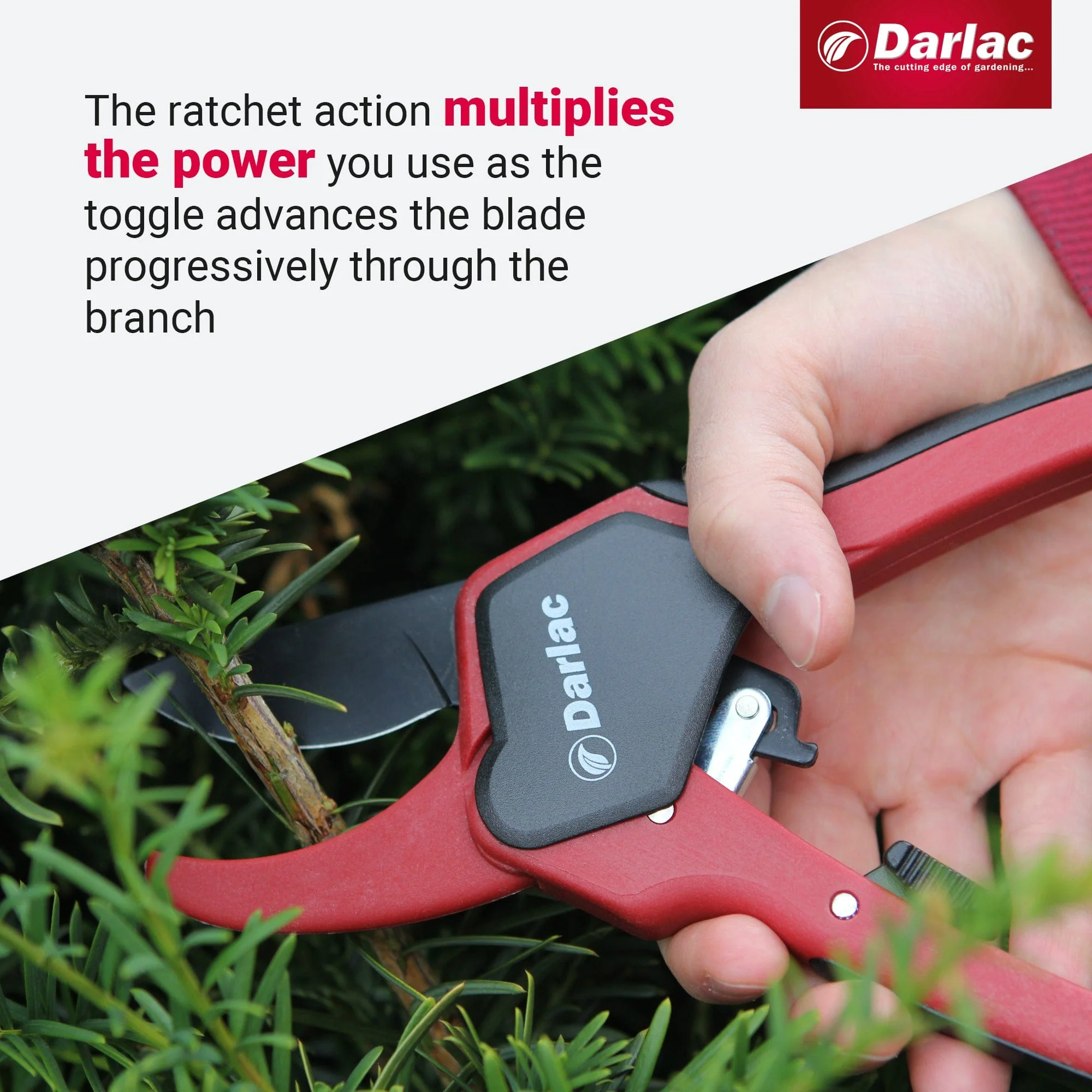 Darlac Classic Ratchet Secateurs - Image 4