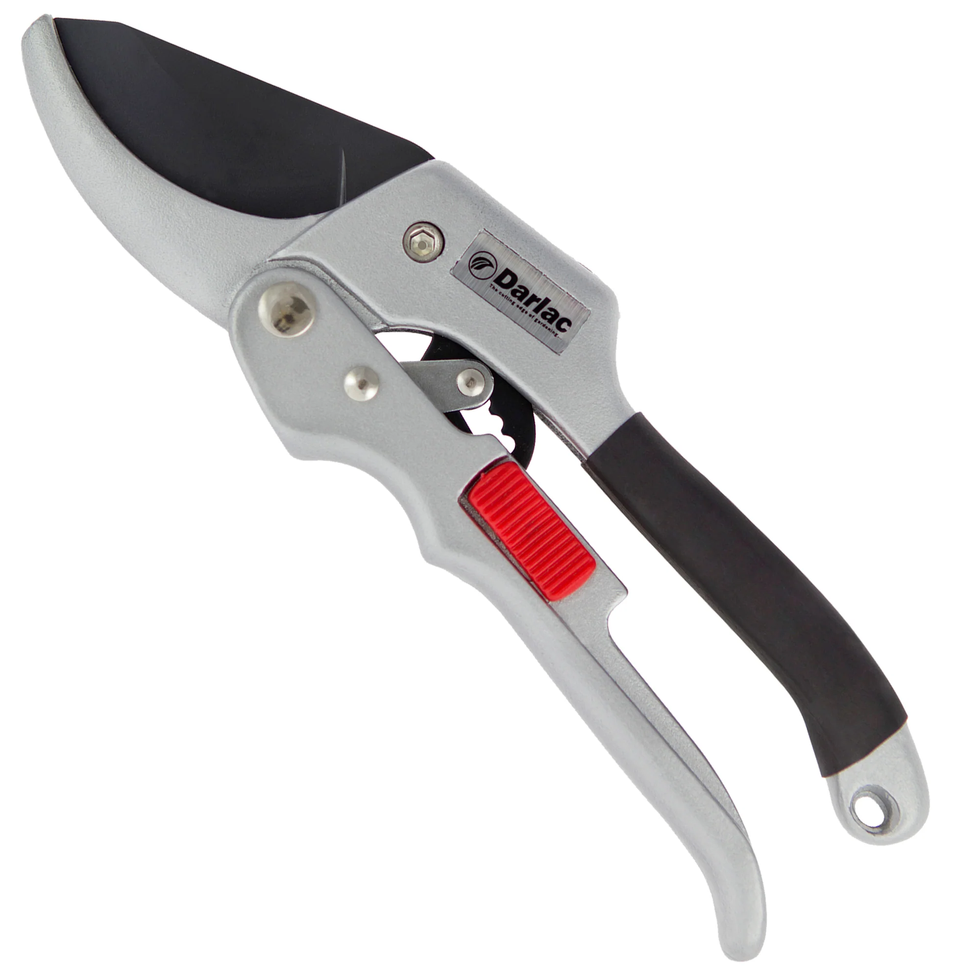 Darlac Super Classic Ratchet - Image 2