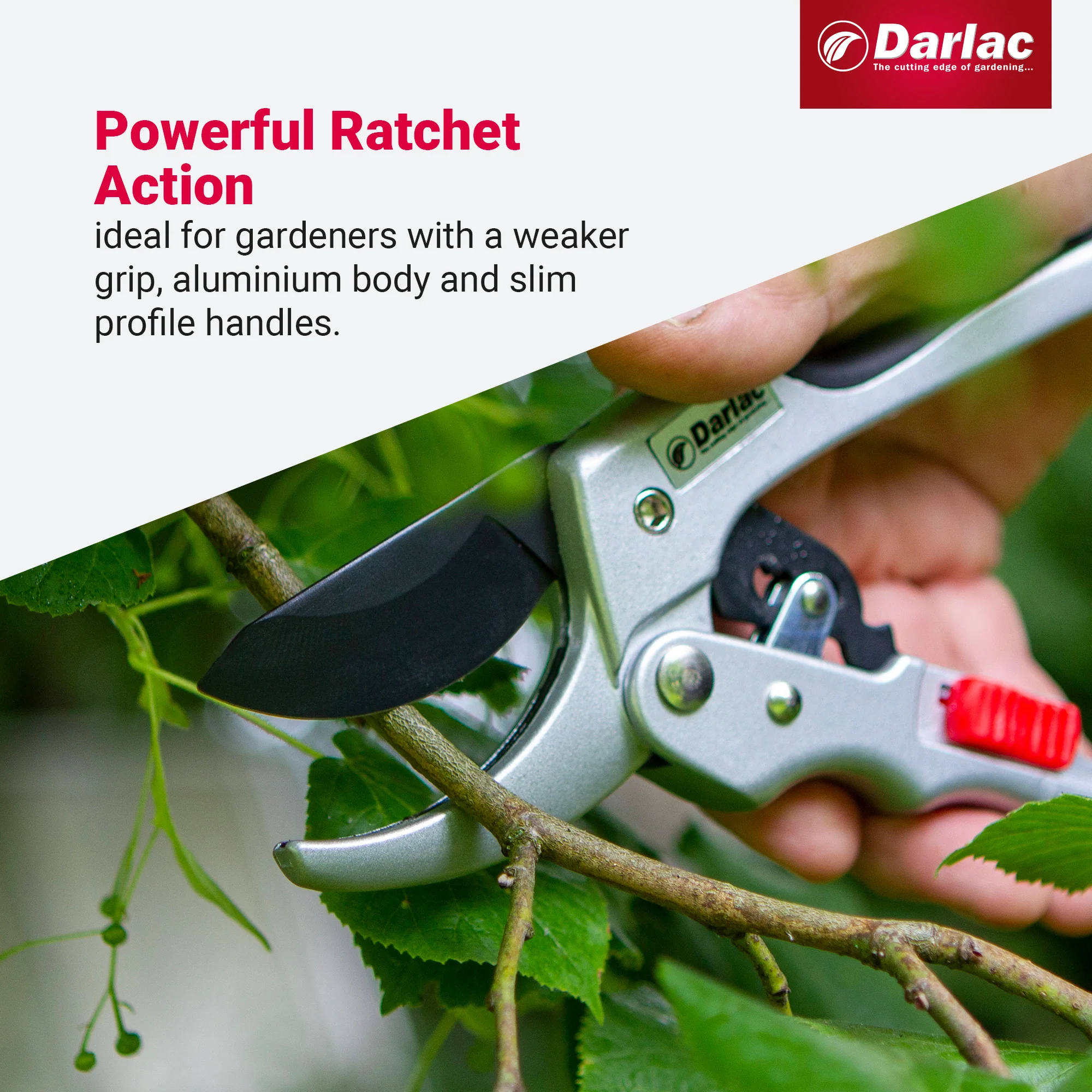 Darlac Super Classic Ratchet - Image 4