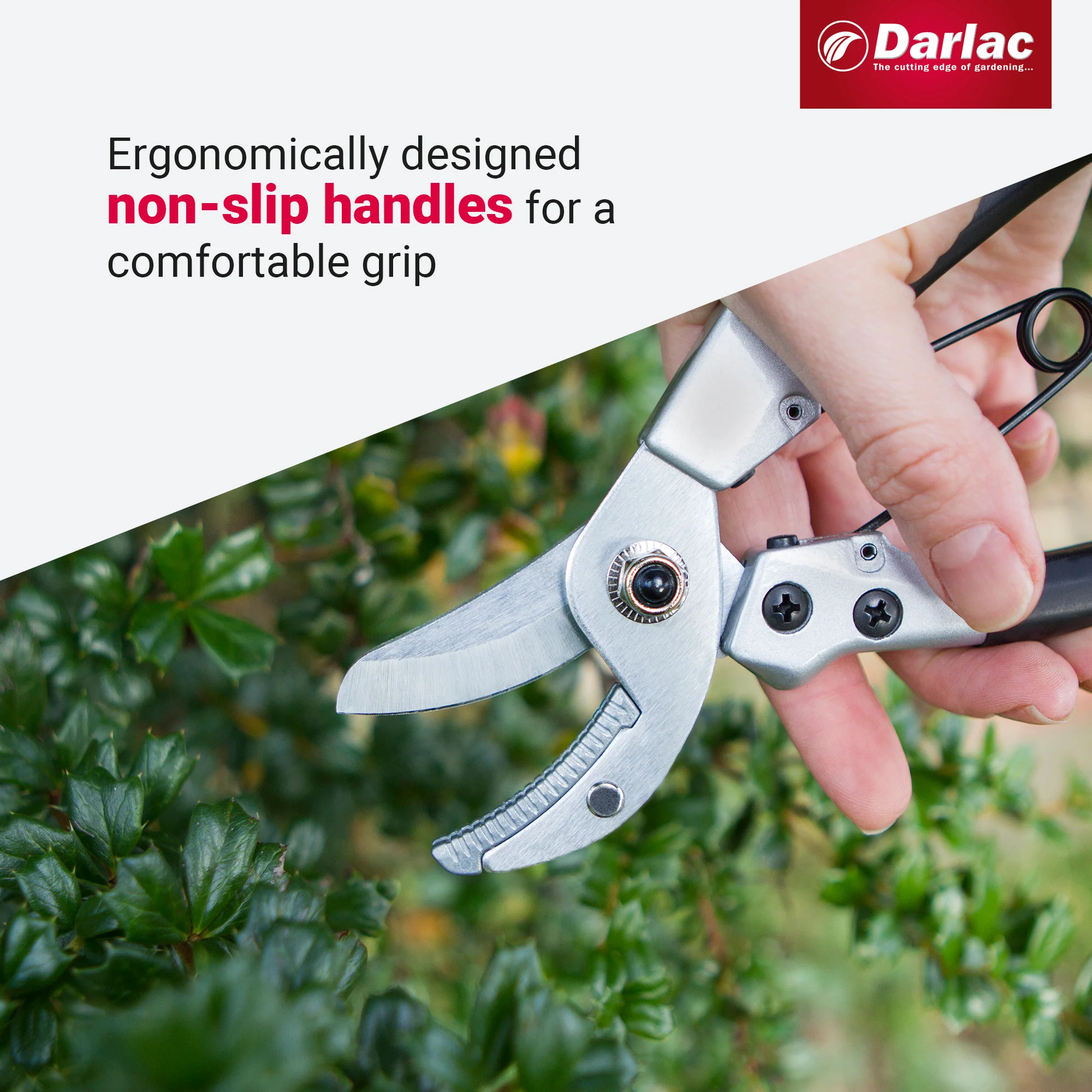Darlac Compact Anvil Secateurs - Image 4