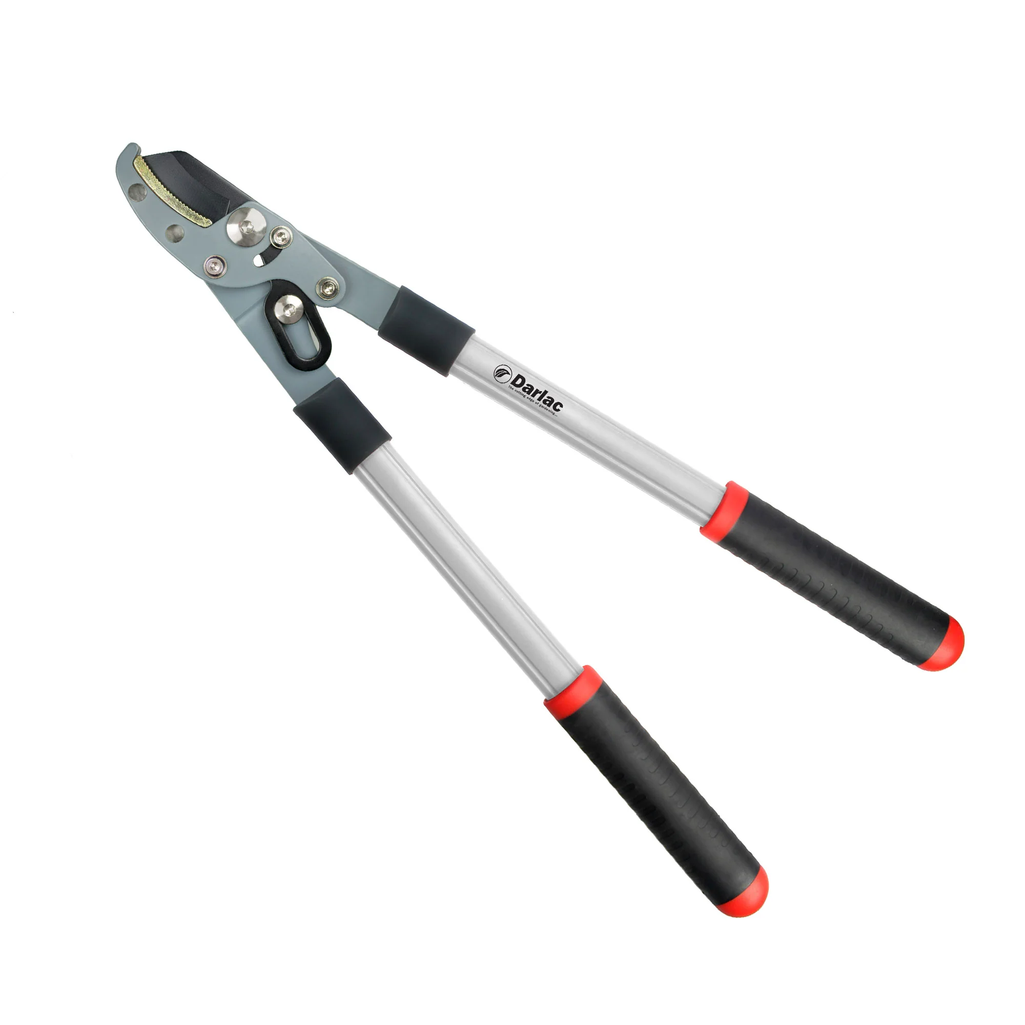 Darlac Compact Compound Action Anvil Lopper - Image 2
