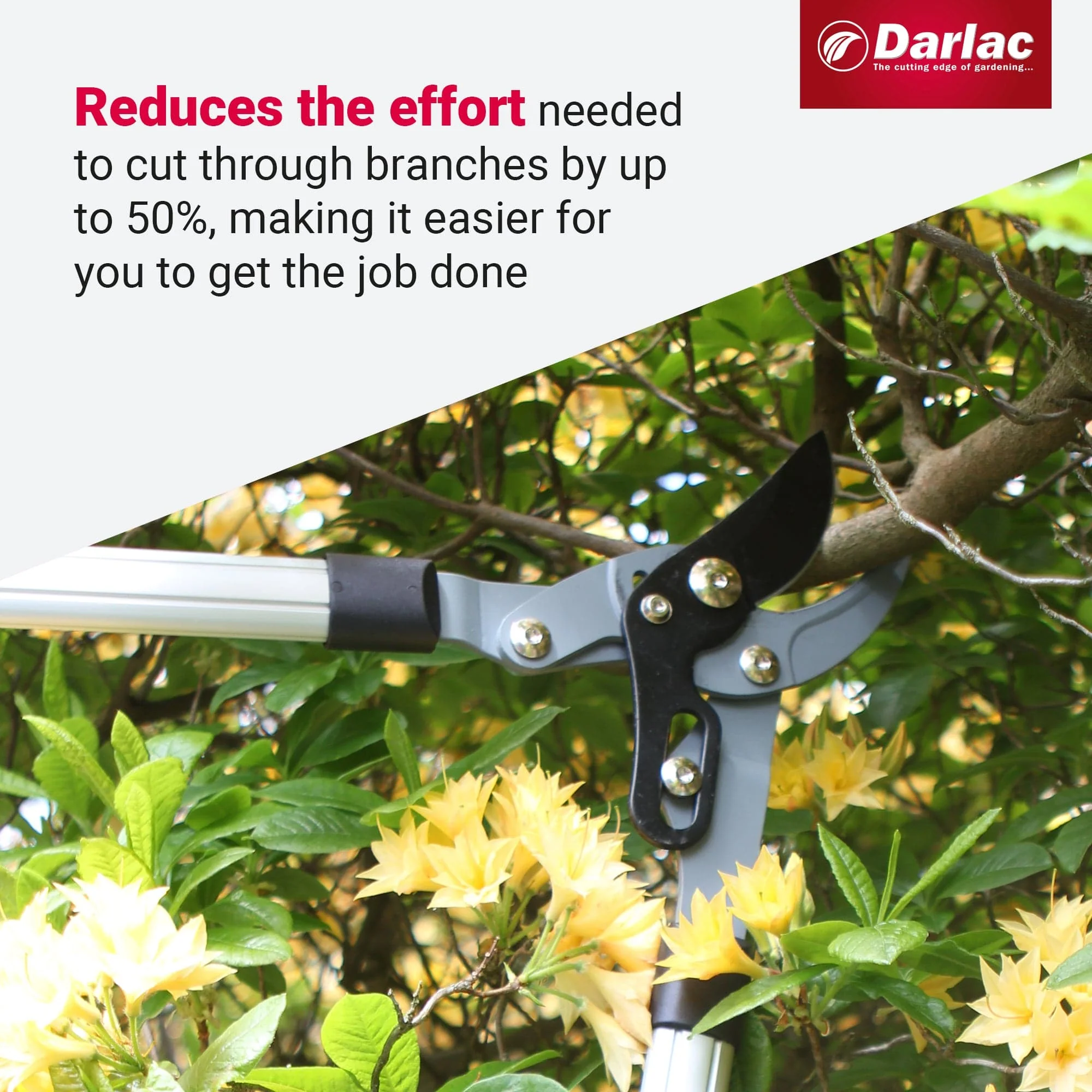 Darlac Heavy Duty Compound Action Bypass Lopper - Image 4