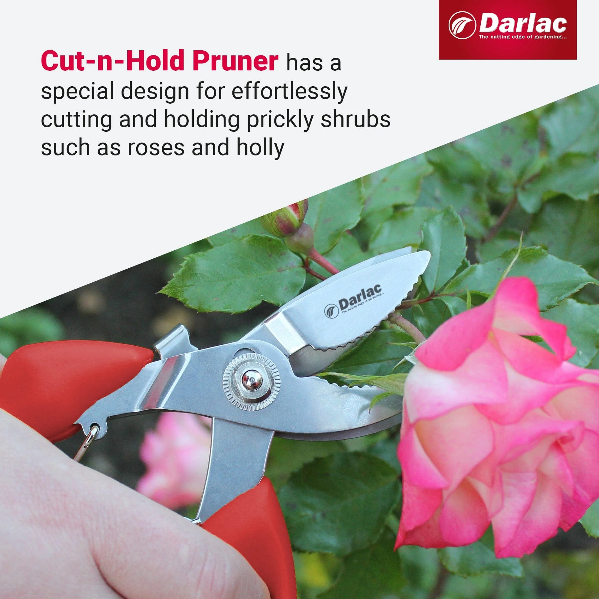 Darlac Cut-n-Hold Bypass Secateurs - Image 4