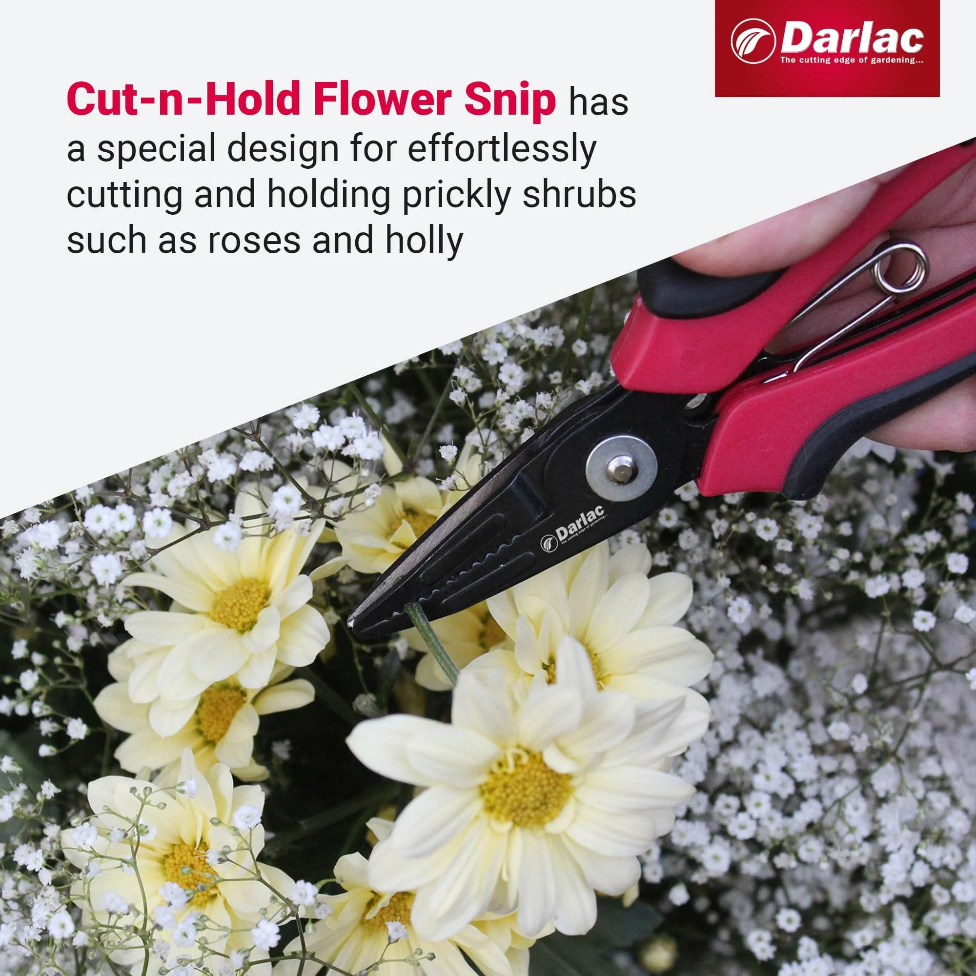 Darlac Cut-n-Hold Flower Snips - Image 4