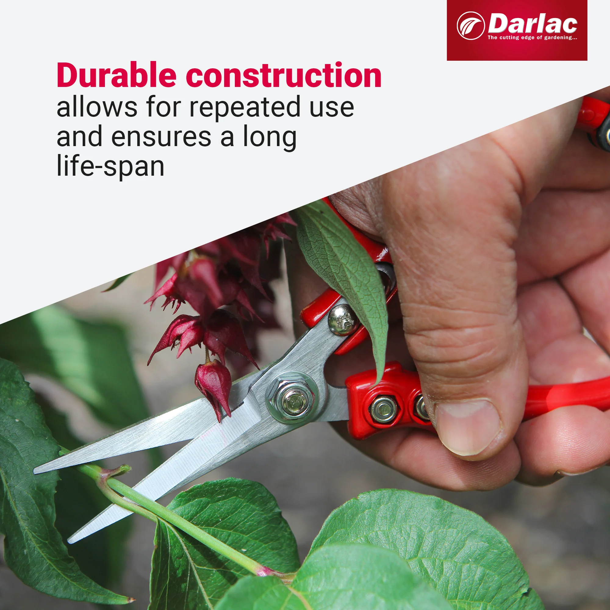 Darlac Ergo Snips - Image 4