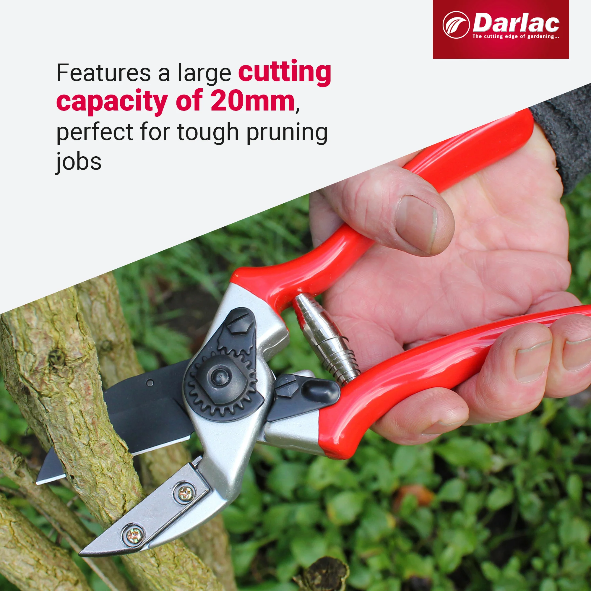 Darlac Expert Anvil Secateur - Image 4