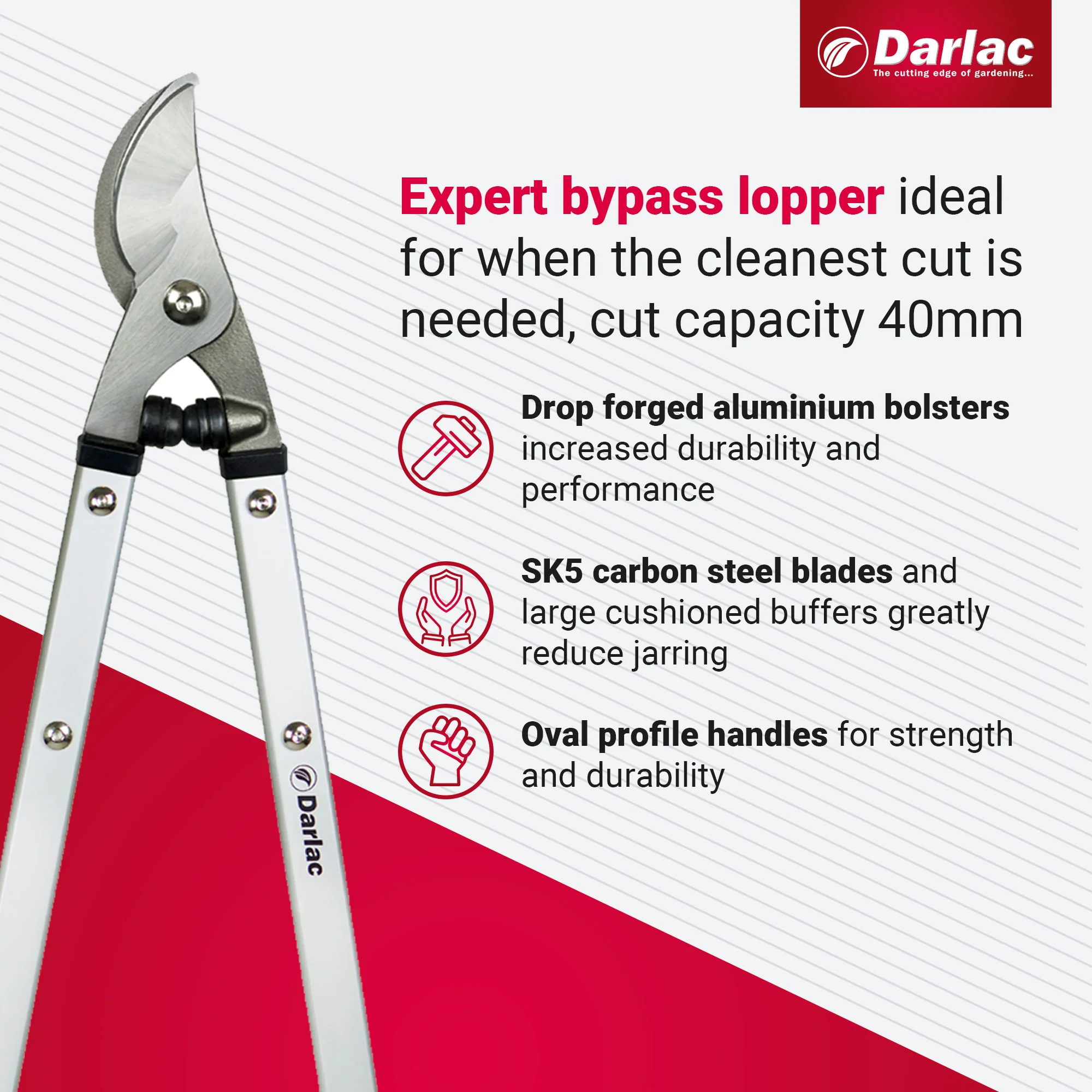 Darlac Expert Bypass Lopper - Image 3
