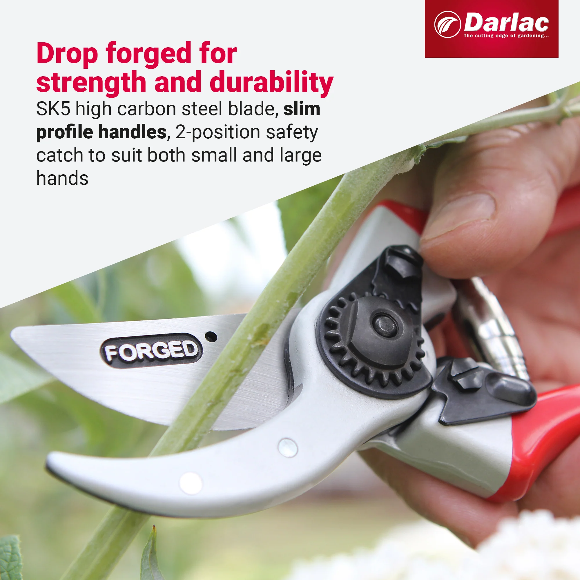 Darlac Expert Drop Forged Secateurs - Image 4