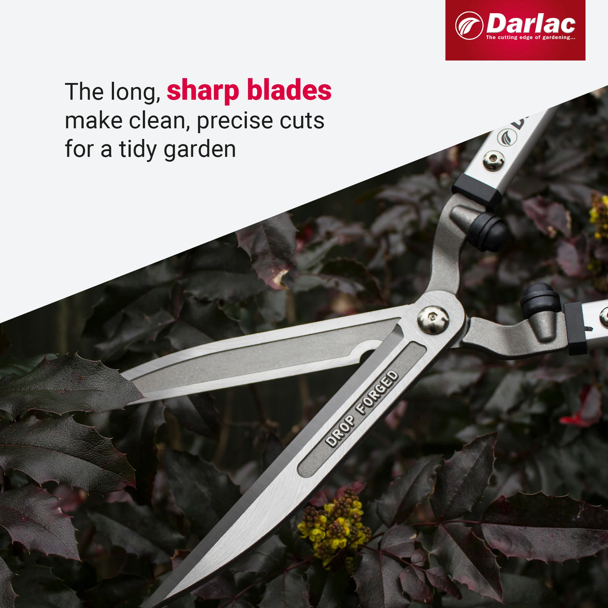 Darlac Expert Drop Forged Shear - Image 4