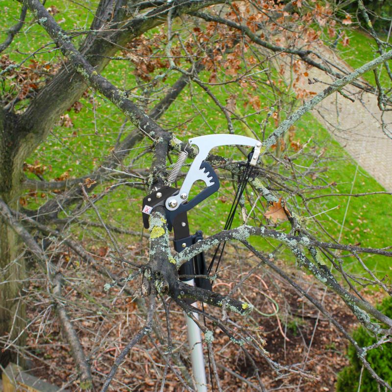 Darlac Expert Geared Bypass Tree Pruner - Image 2