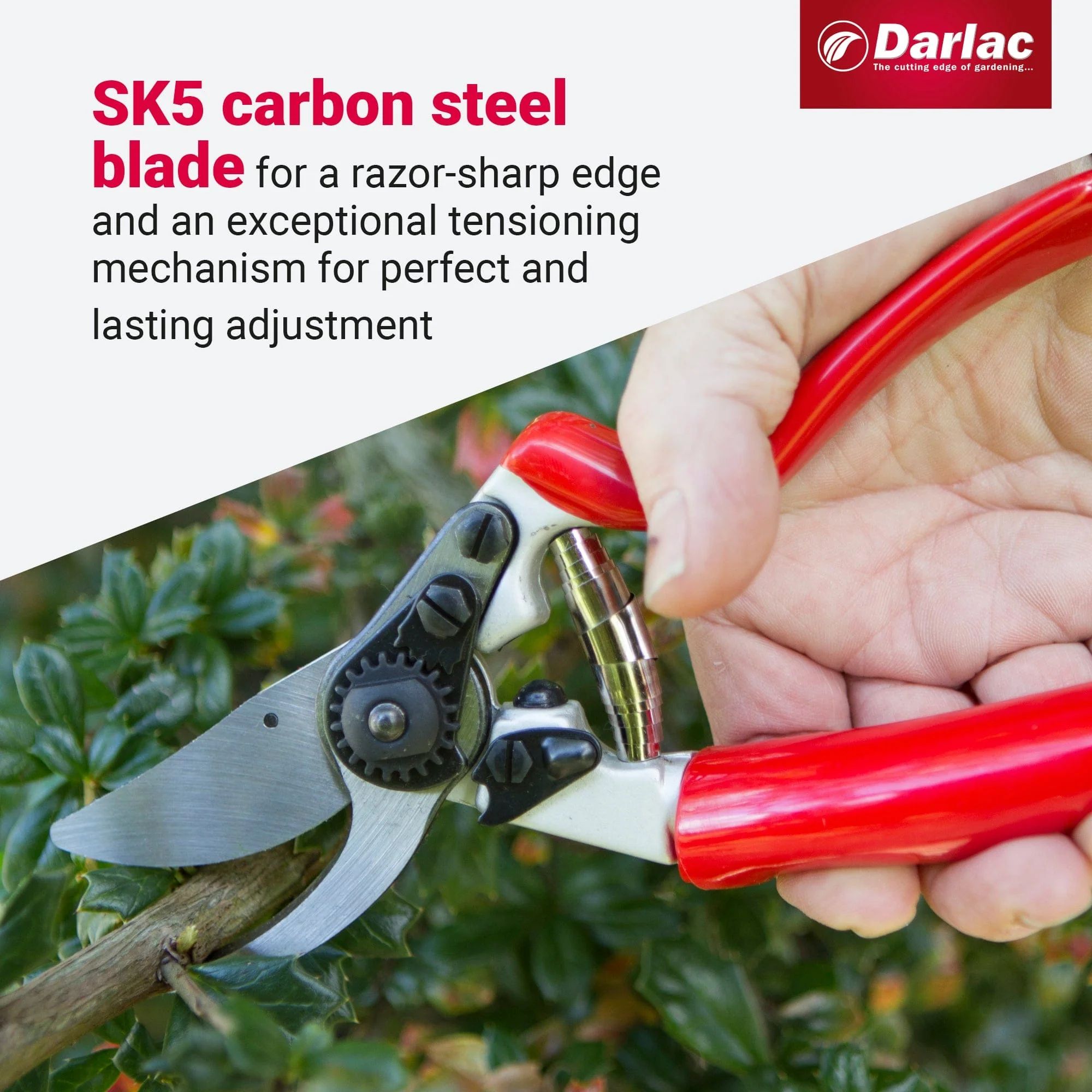 Darlac Expert Rotating Handle Bypass Secateurs - Image 4