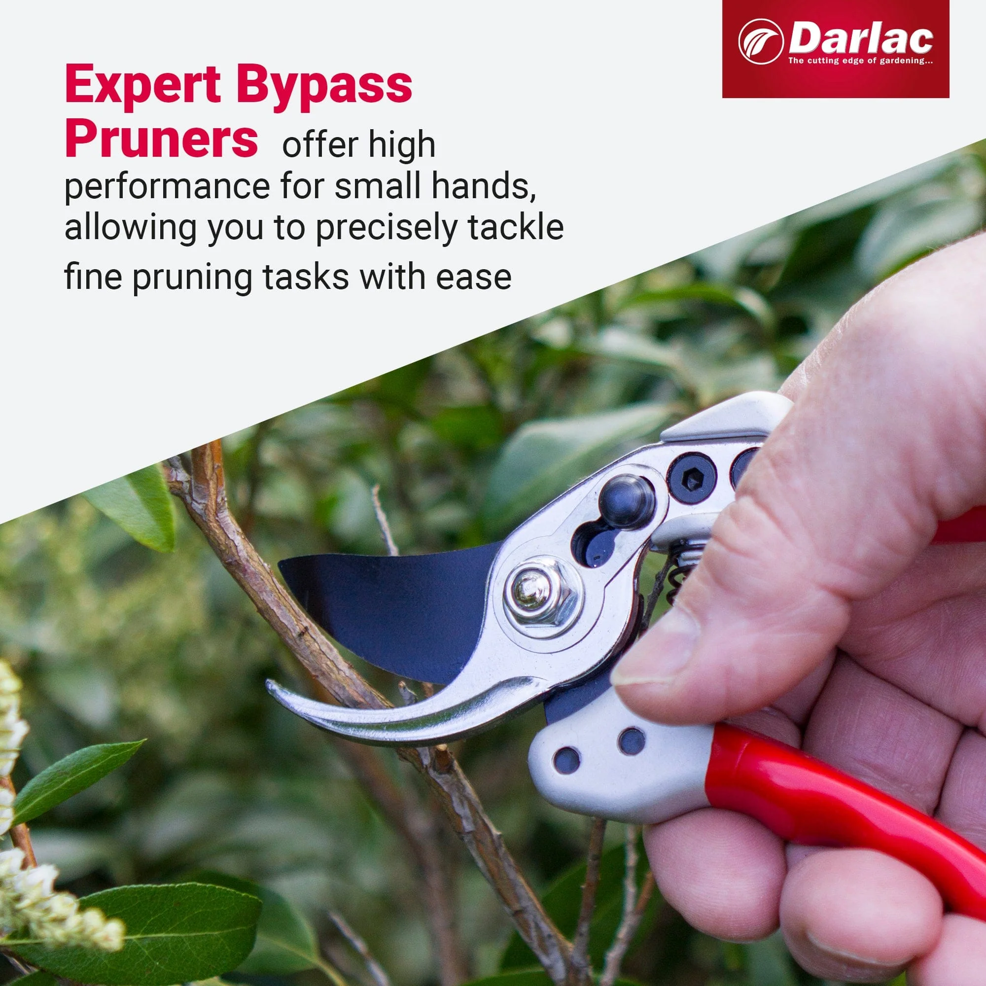 Darlac Expert Bypass Small Secateurs - Image 4