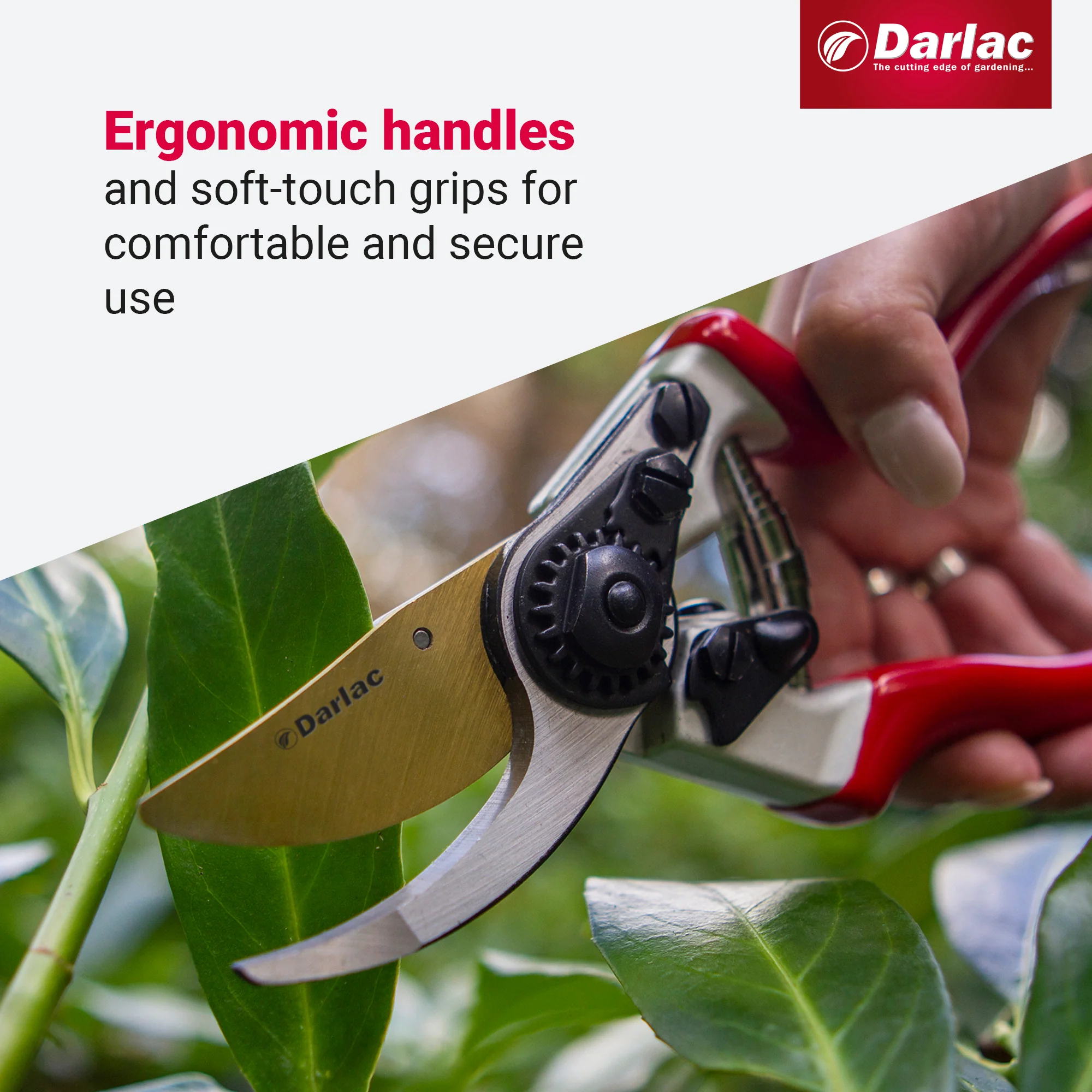 Darlac Expert Titanium Bypass Secateur - Image 4