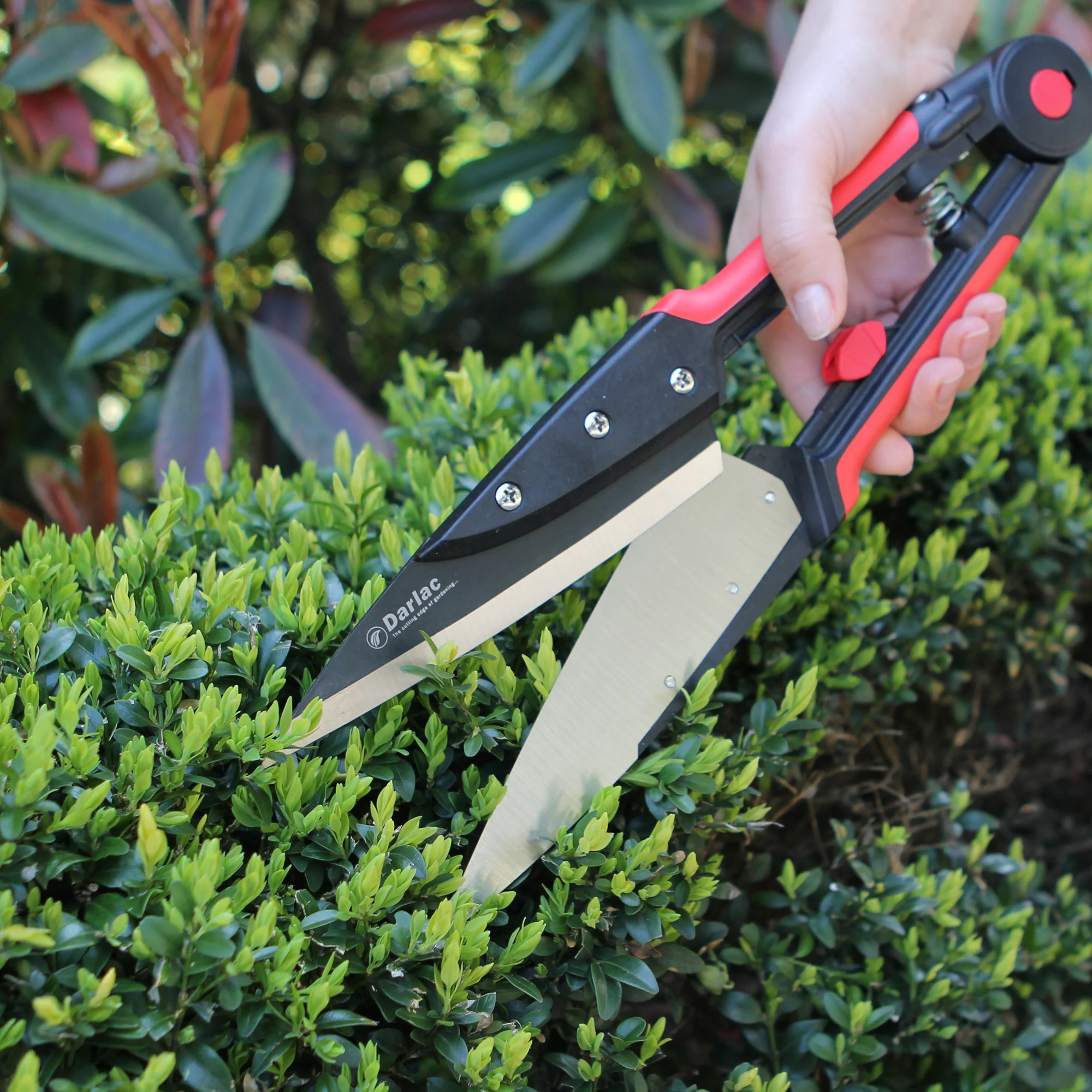 Darlac Expert Topiary Shear