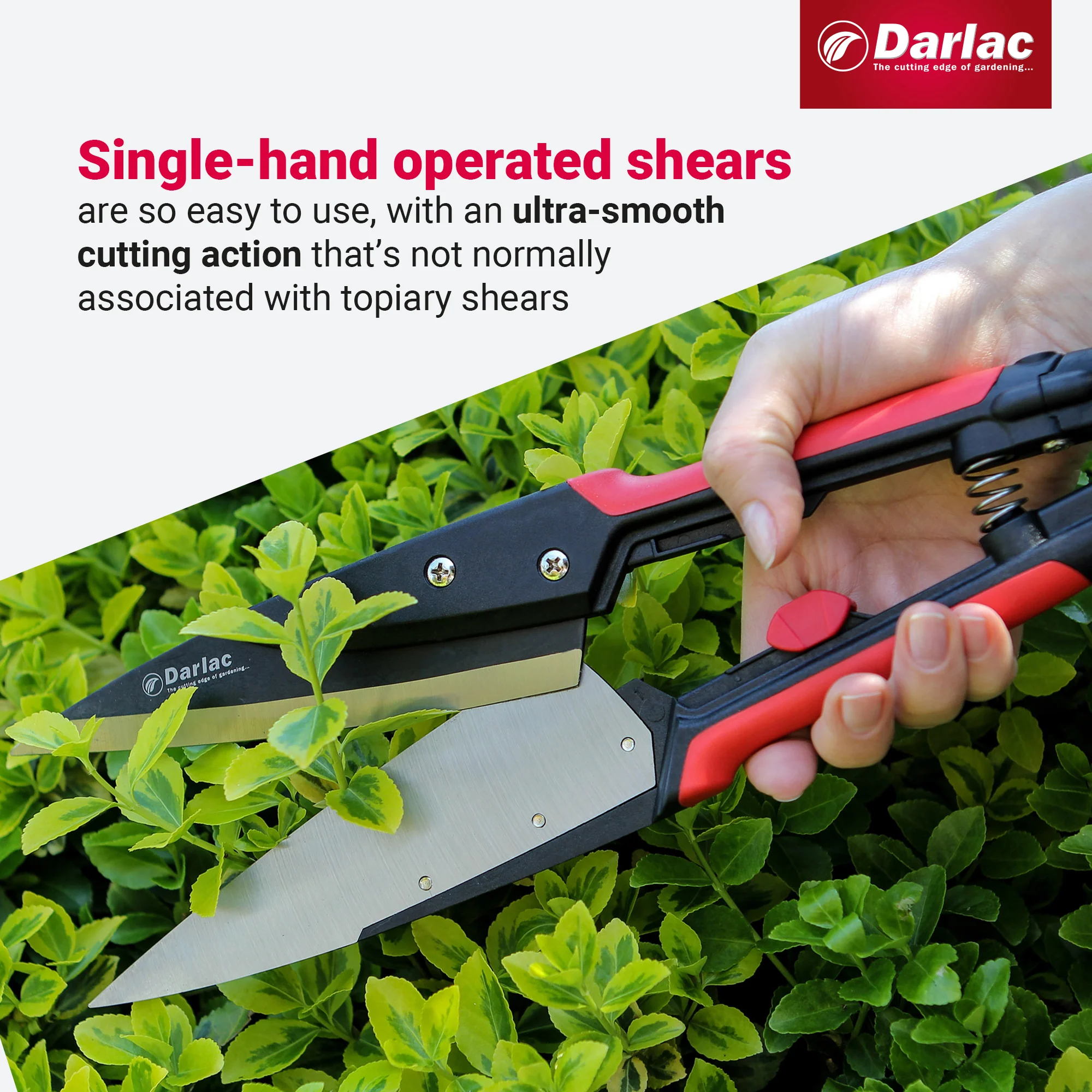 Darlac Expert Topiary Shear - Image 4