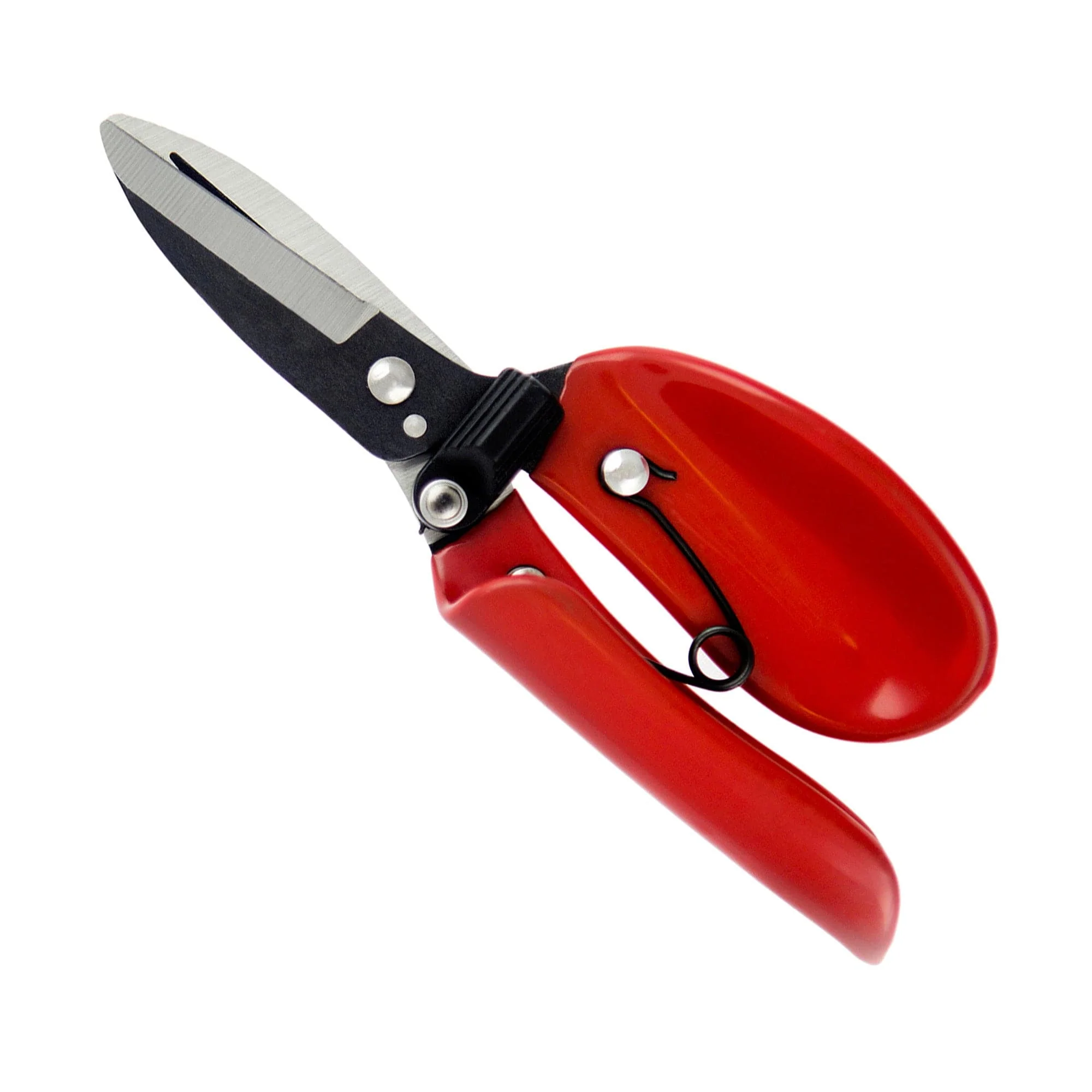 Darlac Floral Shear - Image 2