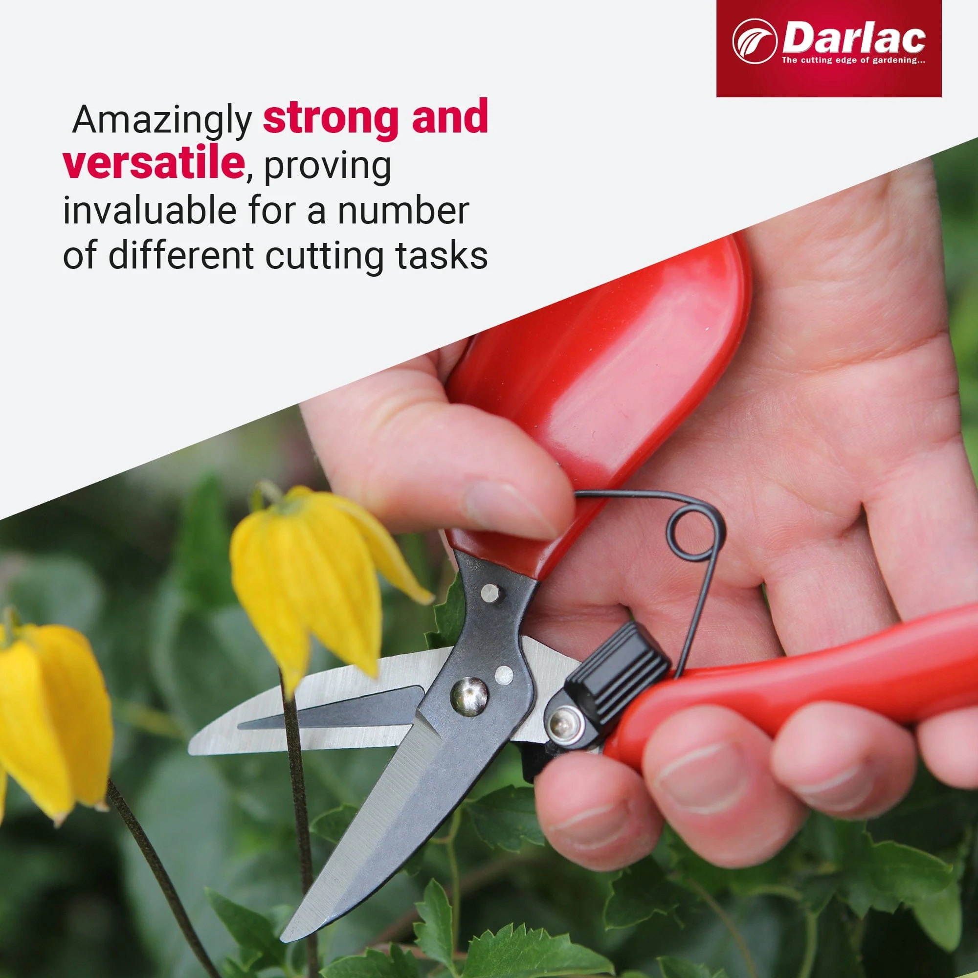 Darlac Floral Shear - Image 4