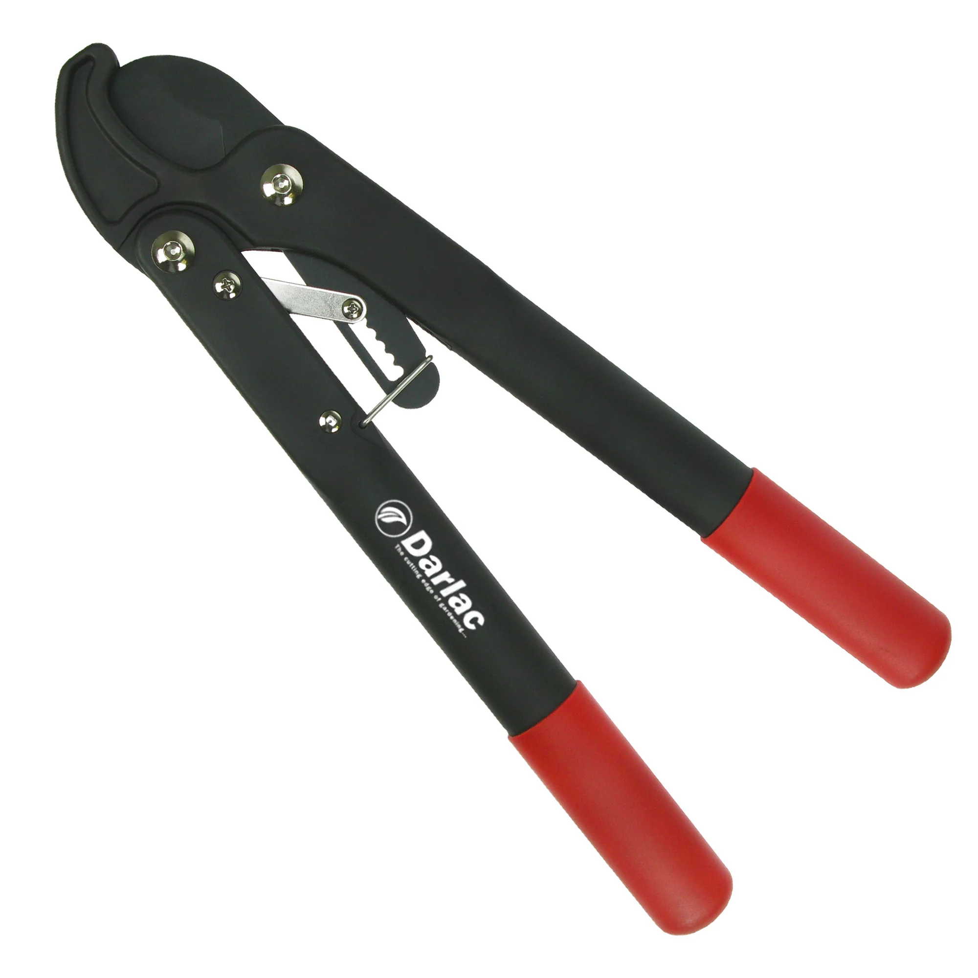 Darlac Handy Ratchet Lopper - Image 2