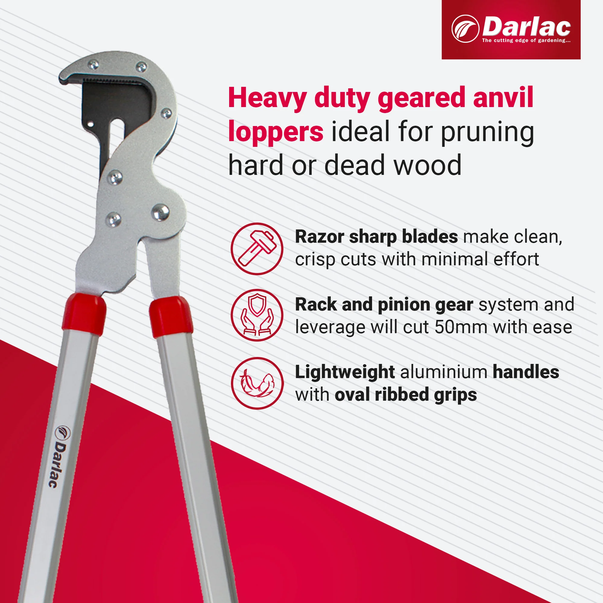 Darlac Heavy Duty Geared Anvil Lopper - Image 3