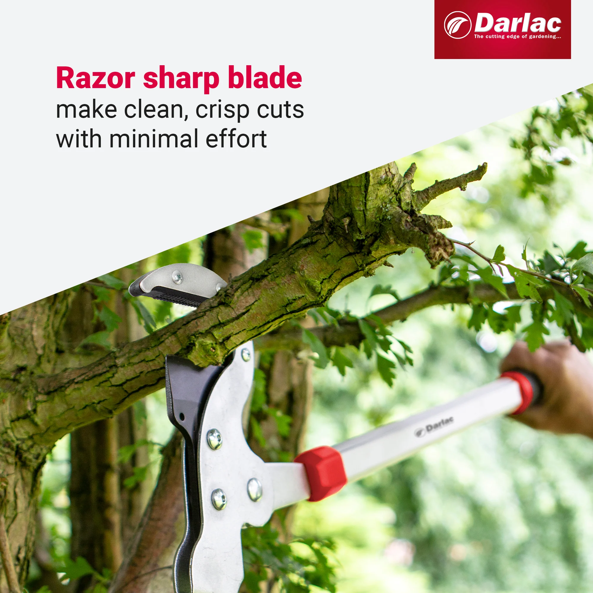 Darlac Heavy Duty Geared Anvil Lopper - Image 4