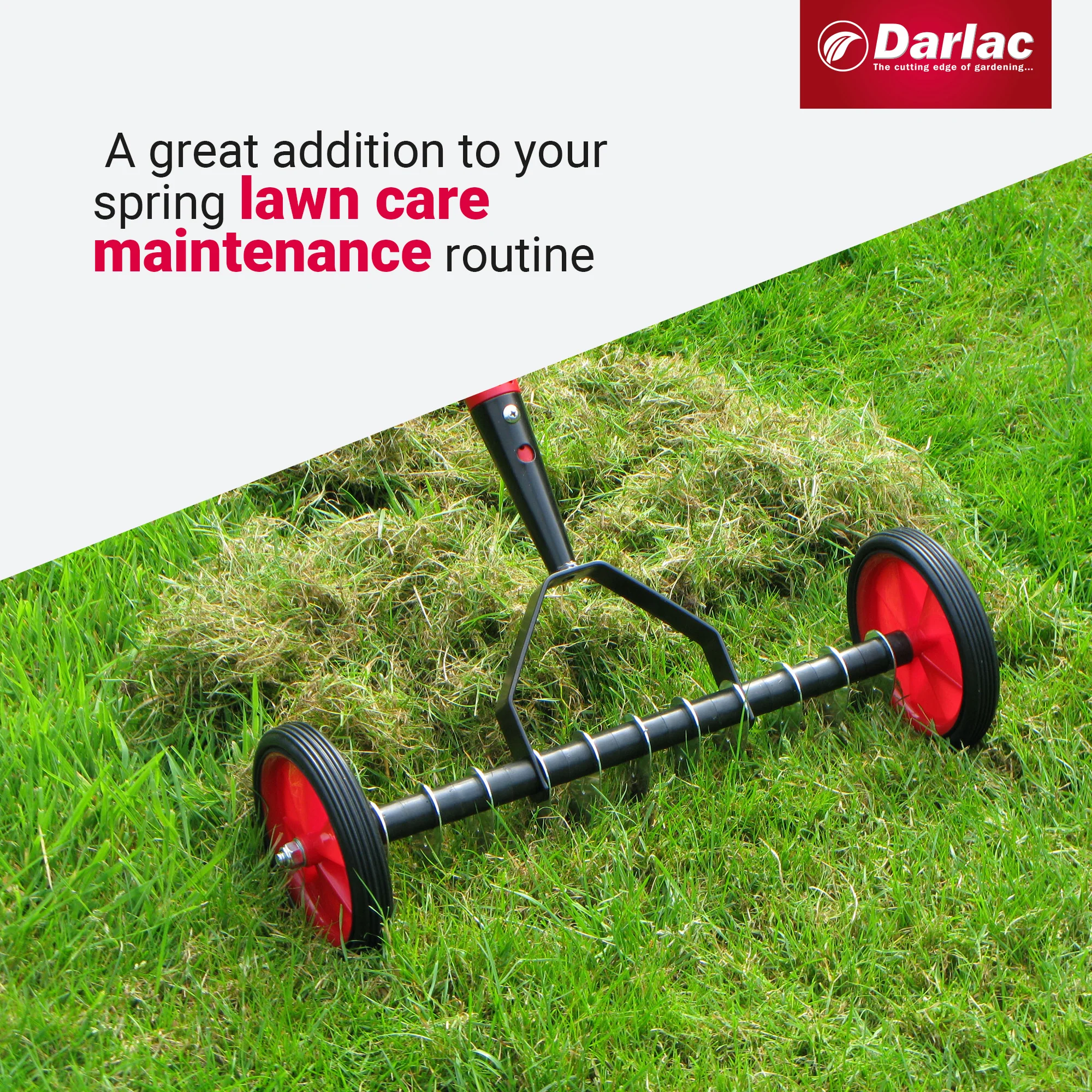 Darlac Lawn Scarifier - Image 4