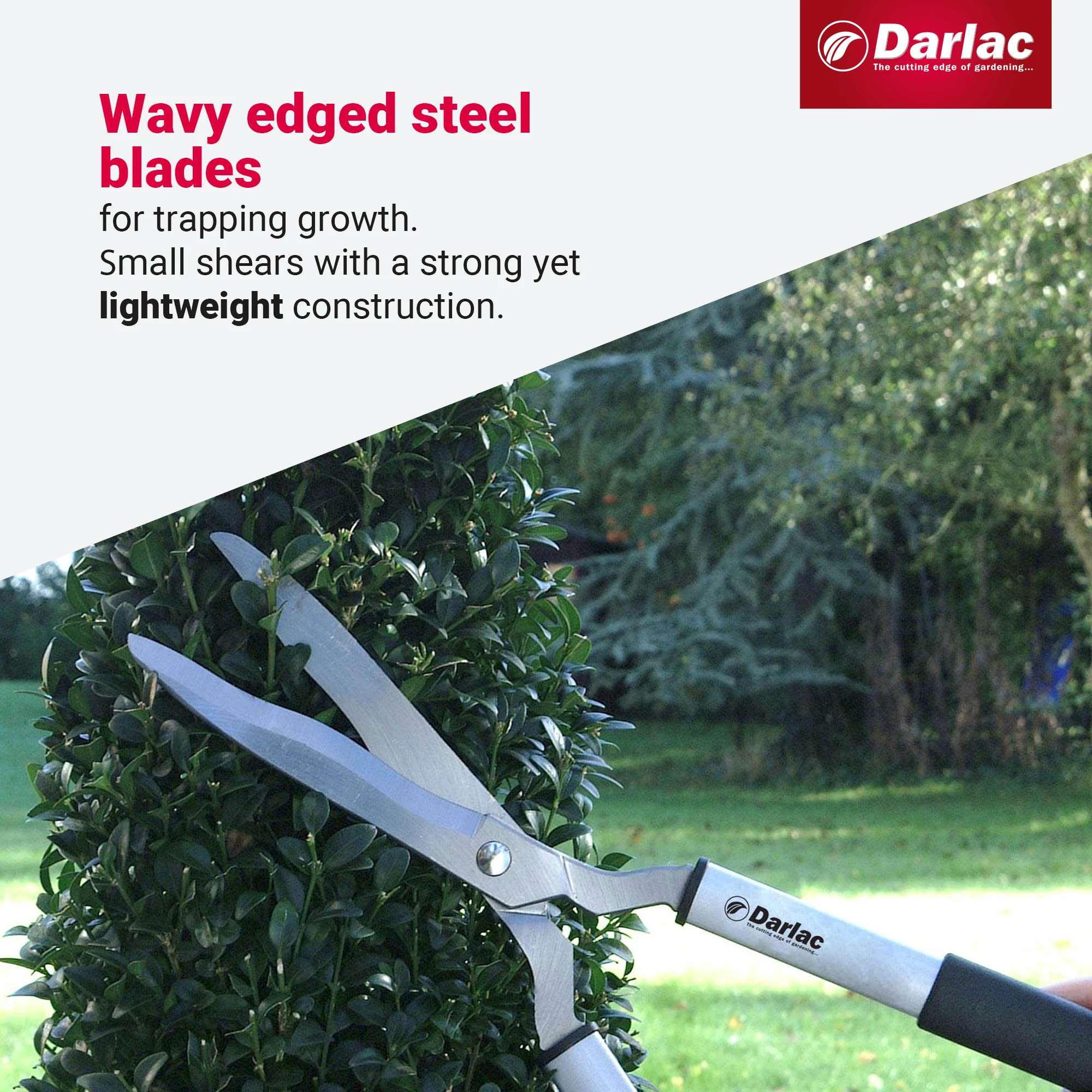Darlac Lightweight Shear - Image 4