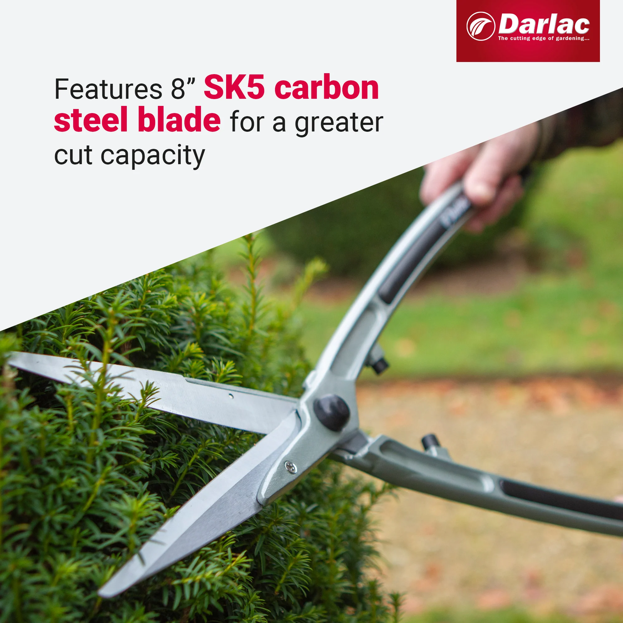 Darlac Lightweight Shear 8in - Image 4