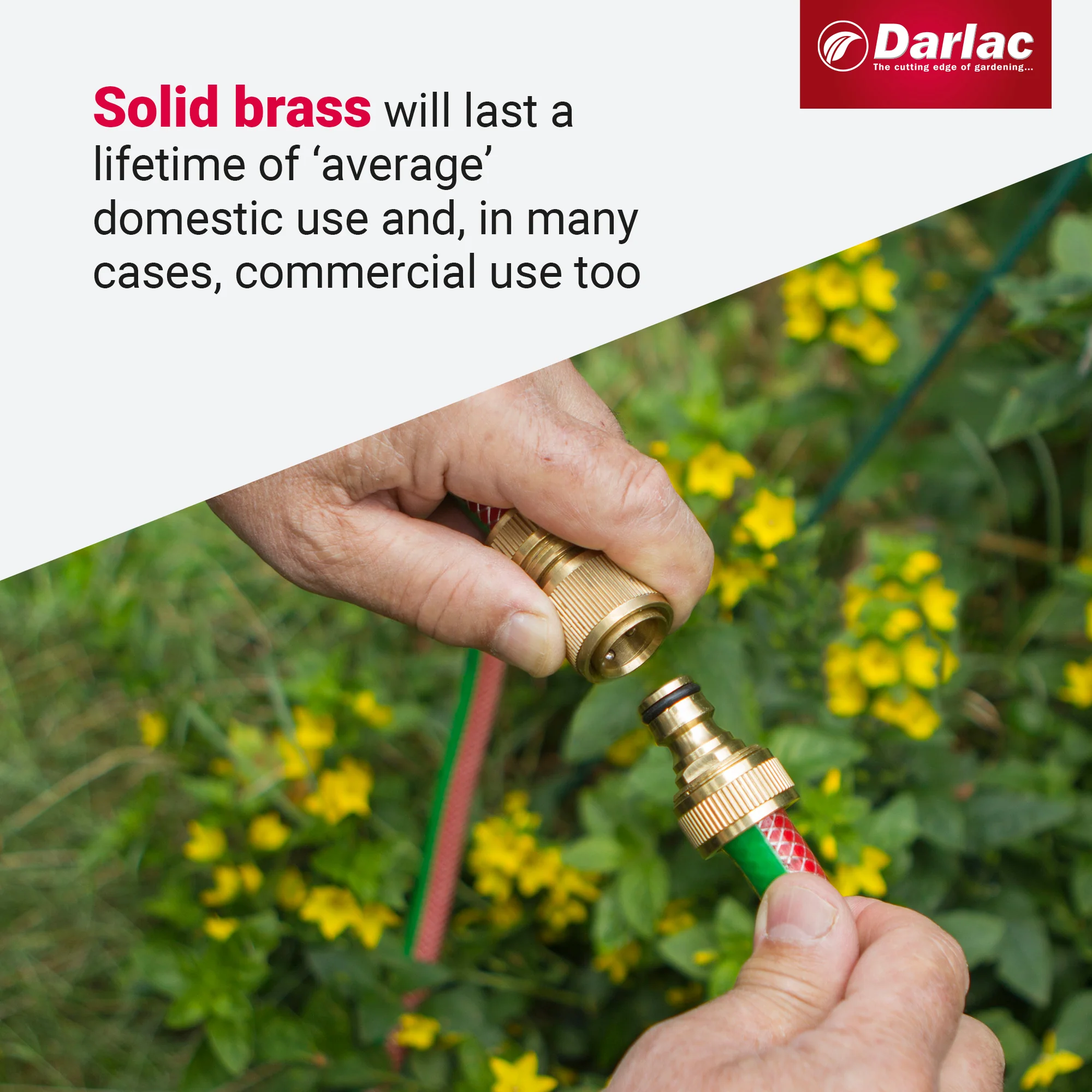 Darlac Male Hose Connector - Image 4