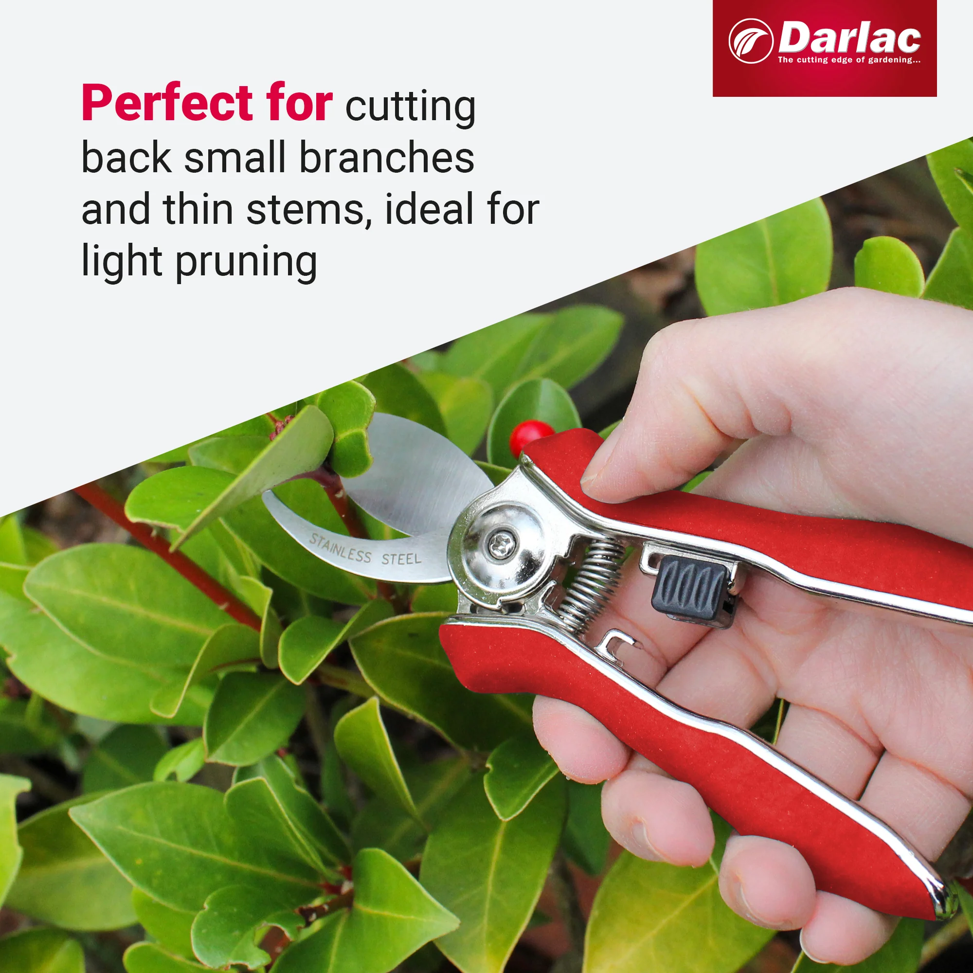 Darlac Mini Bypass Secateurs - Image 4