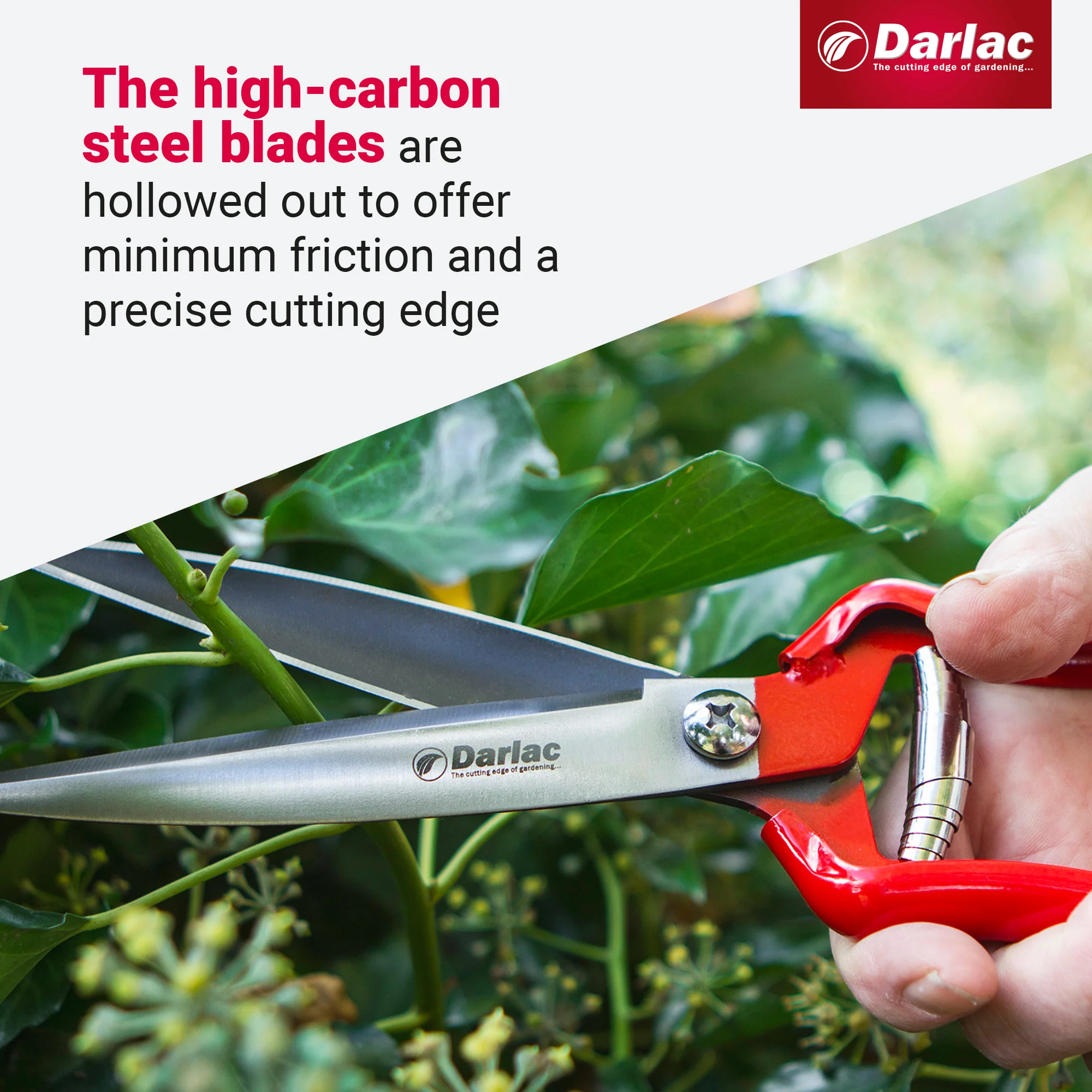 Darlac Perennial Shear - Image 4