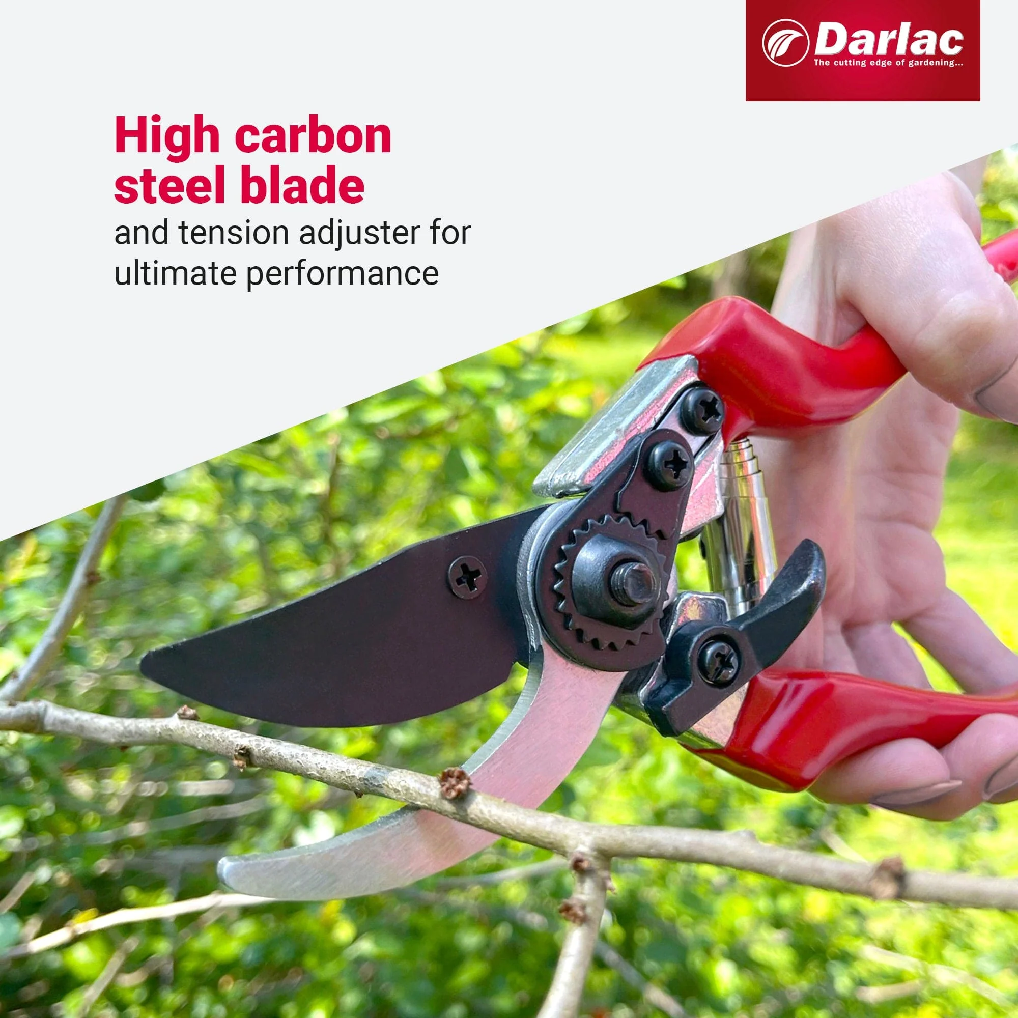 Darlac Professional Secateurs - Image 4