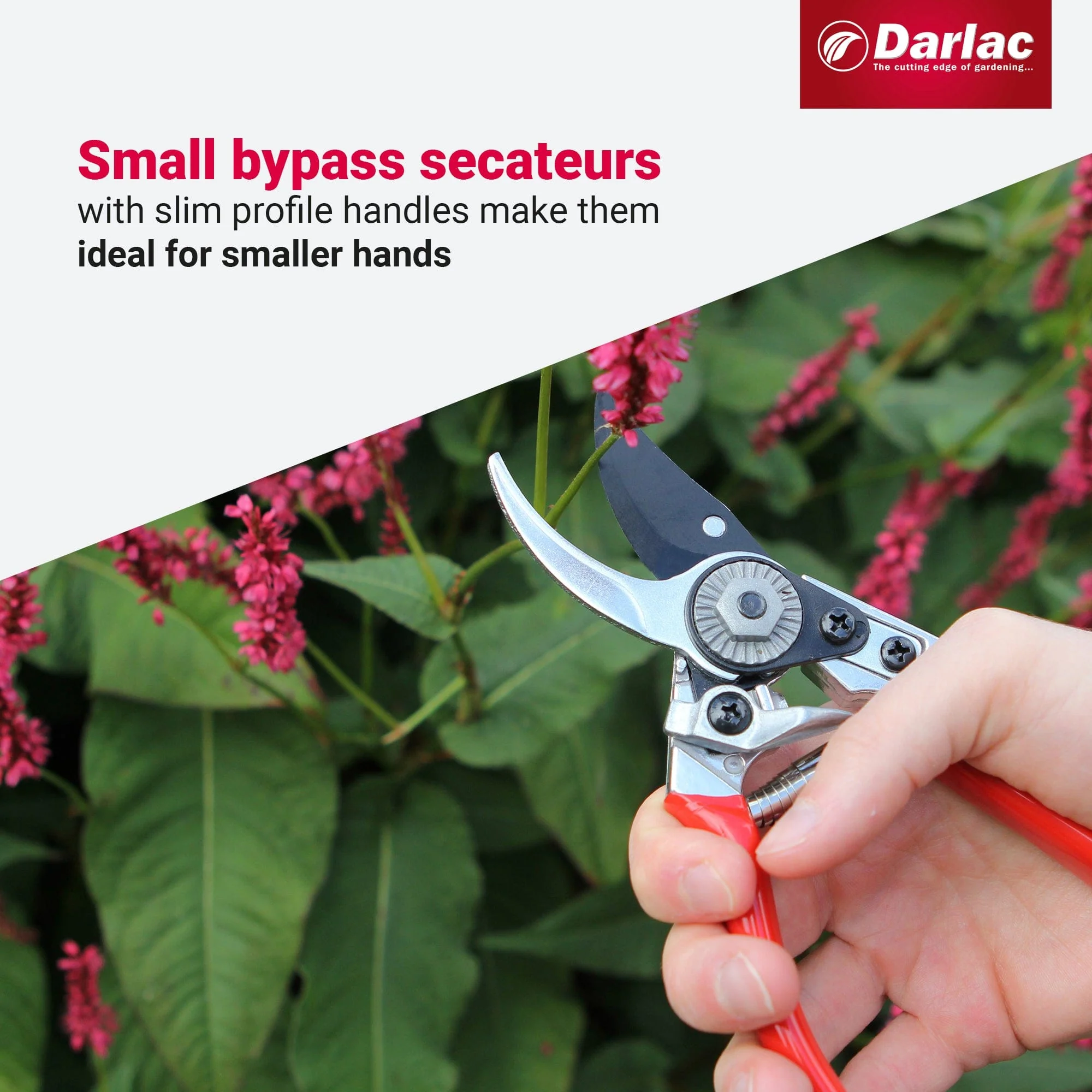 Darlac Small Bypass Pruner - Image 4